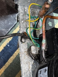 Large roach on refrigerator cord