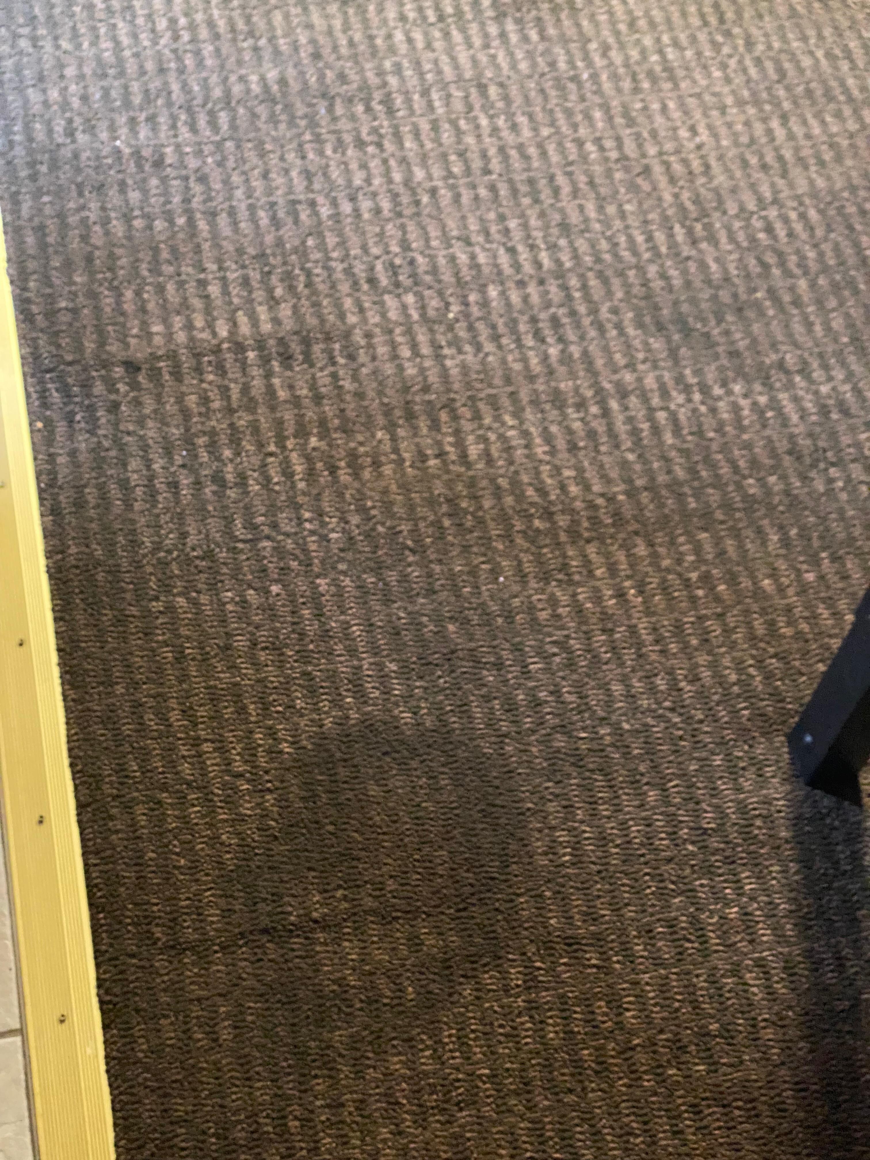 Absolutely minging carpet