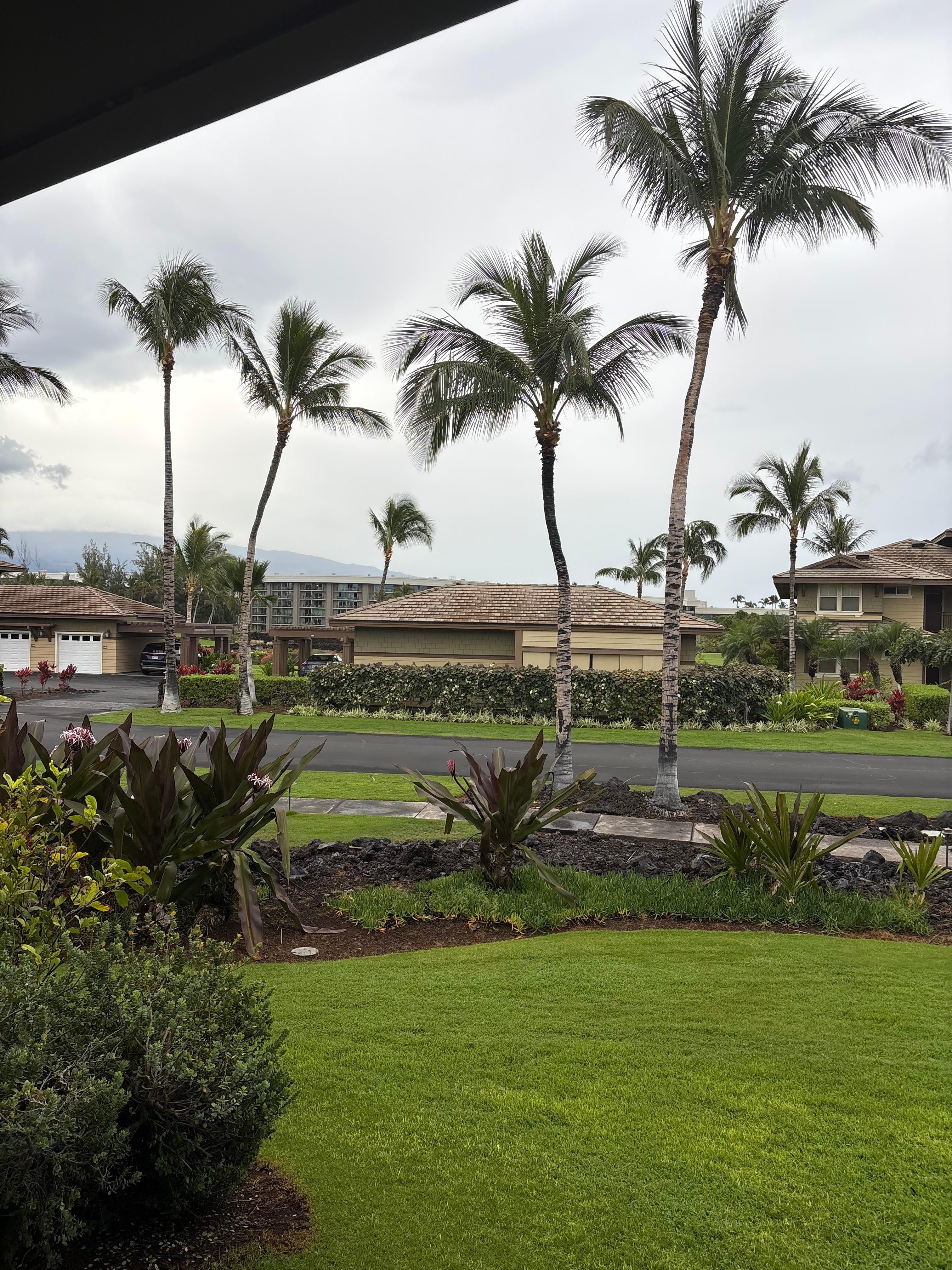 View from the back of the unit. Great grass area for kids.  