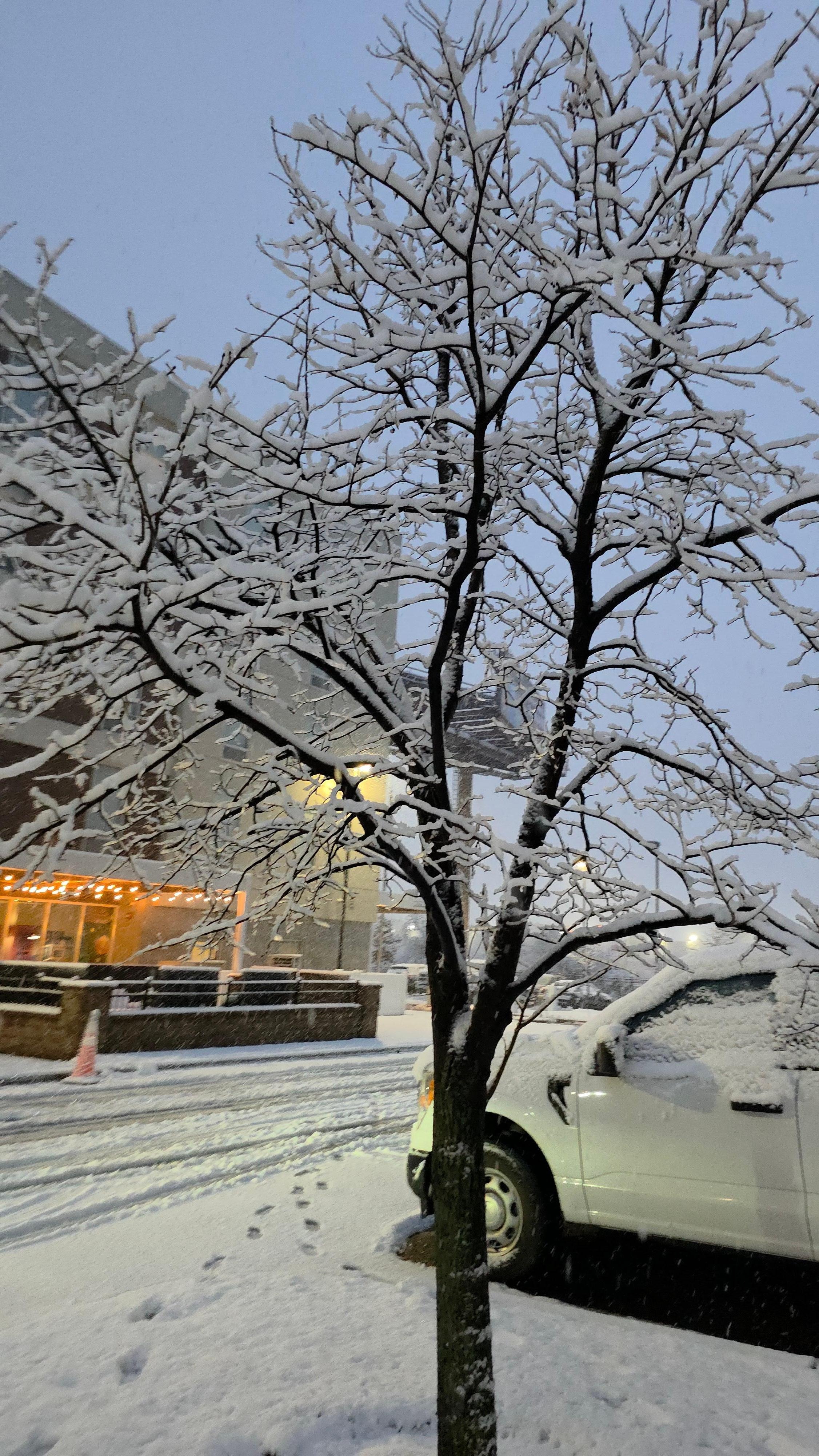 Outside the backdoor of the hotel