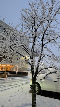 Outside the backdoor of the hotel