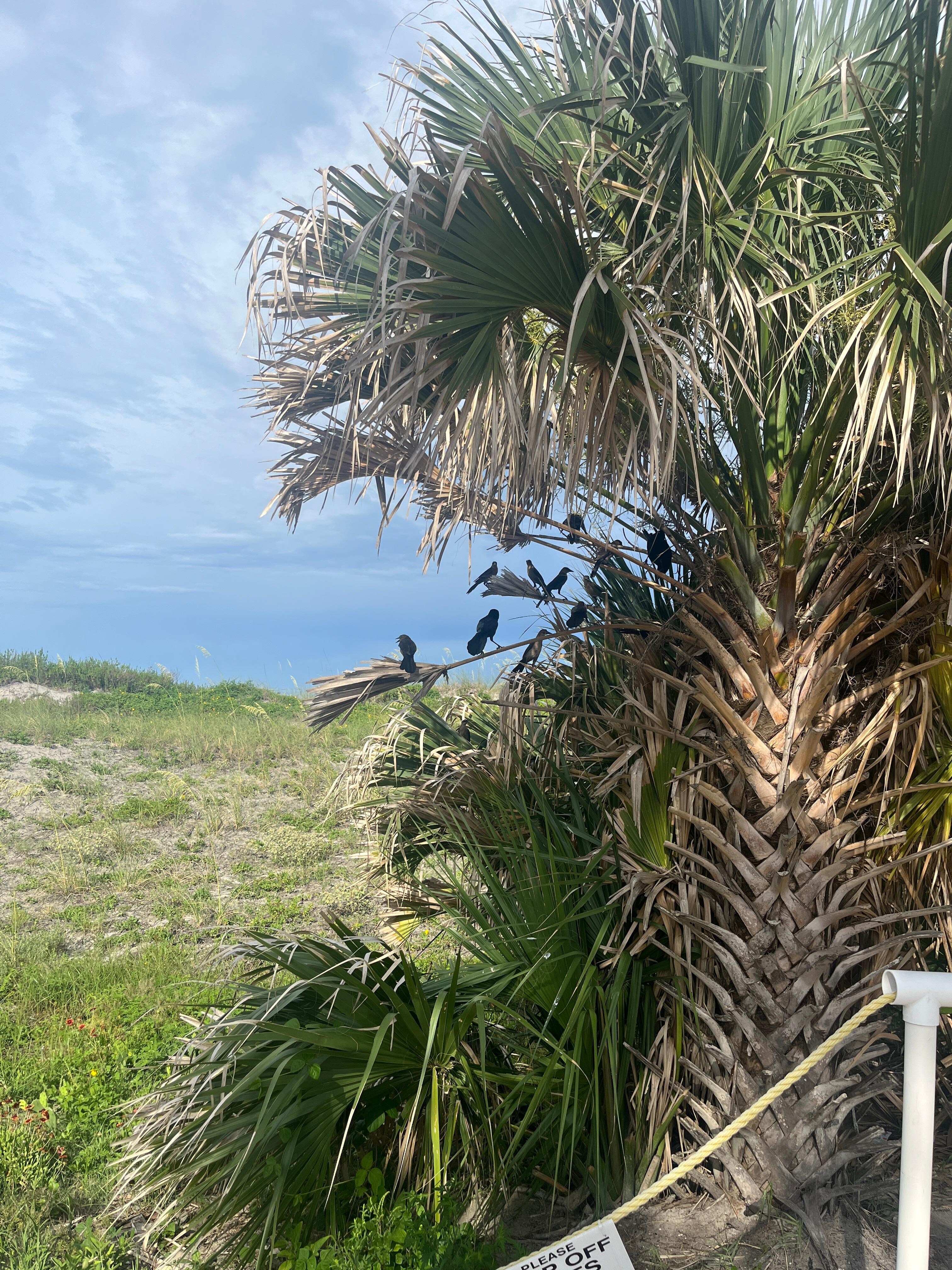 Wildlife on walk