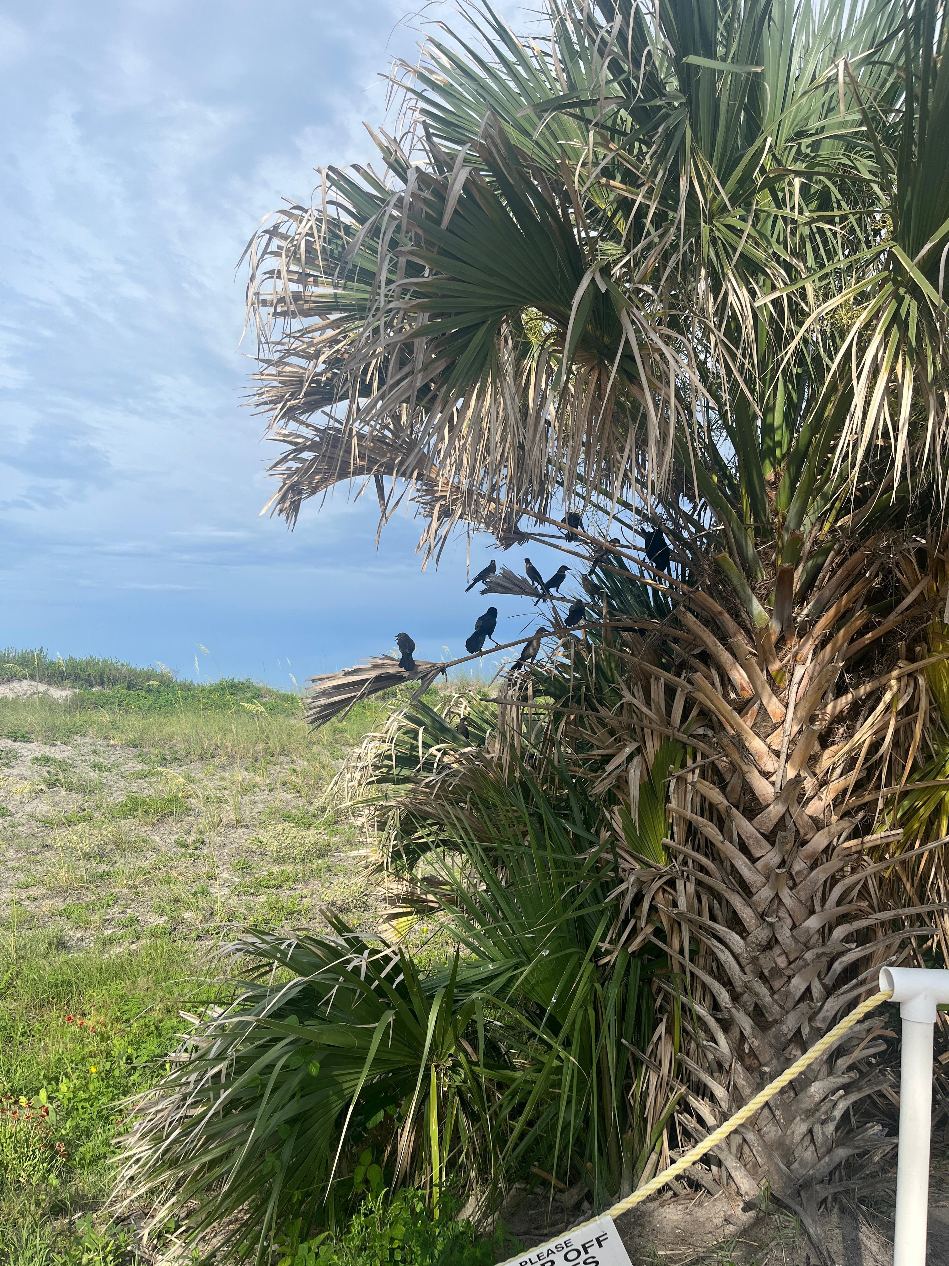 Wildlife on walk