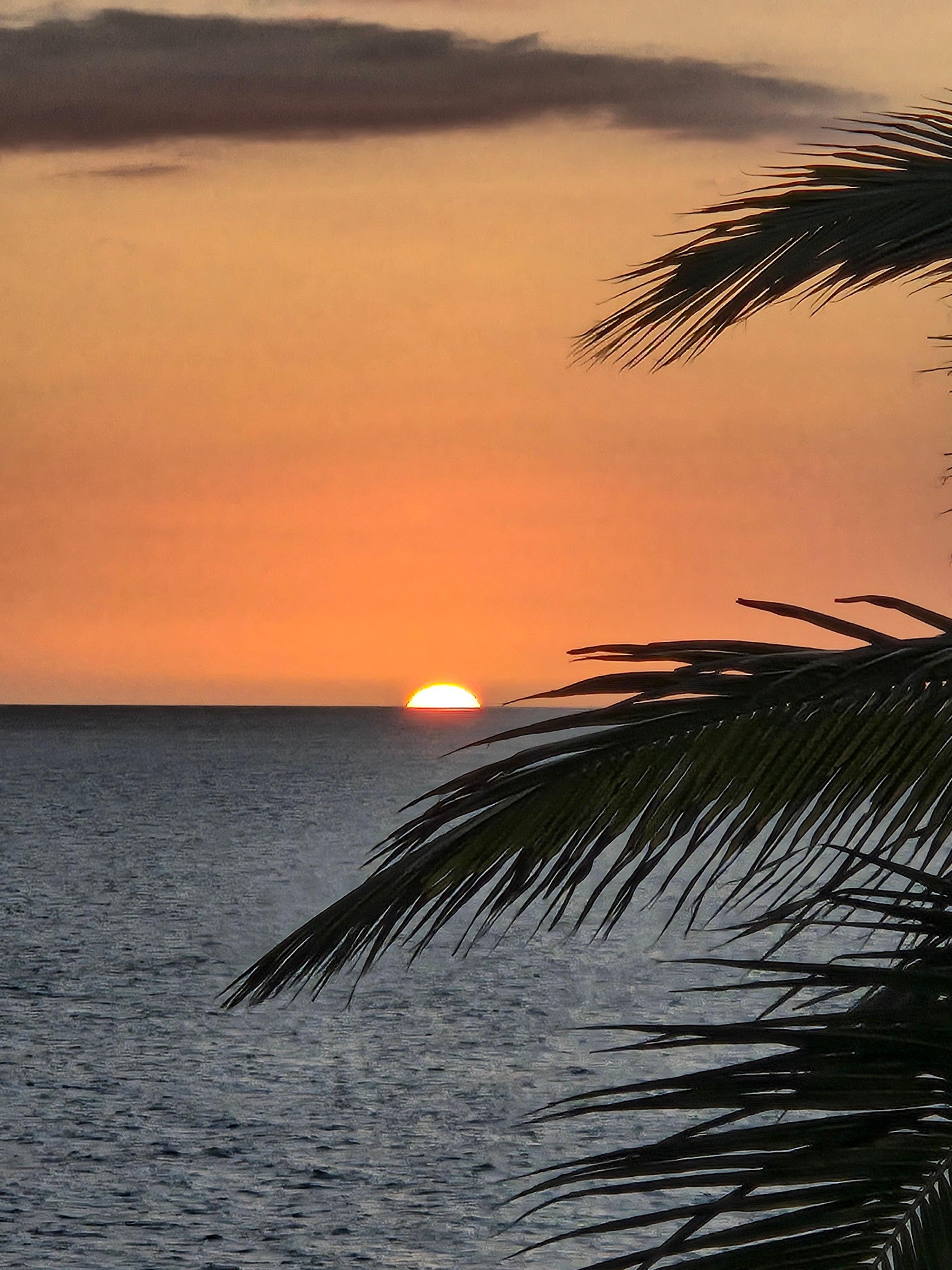 a sunset