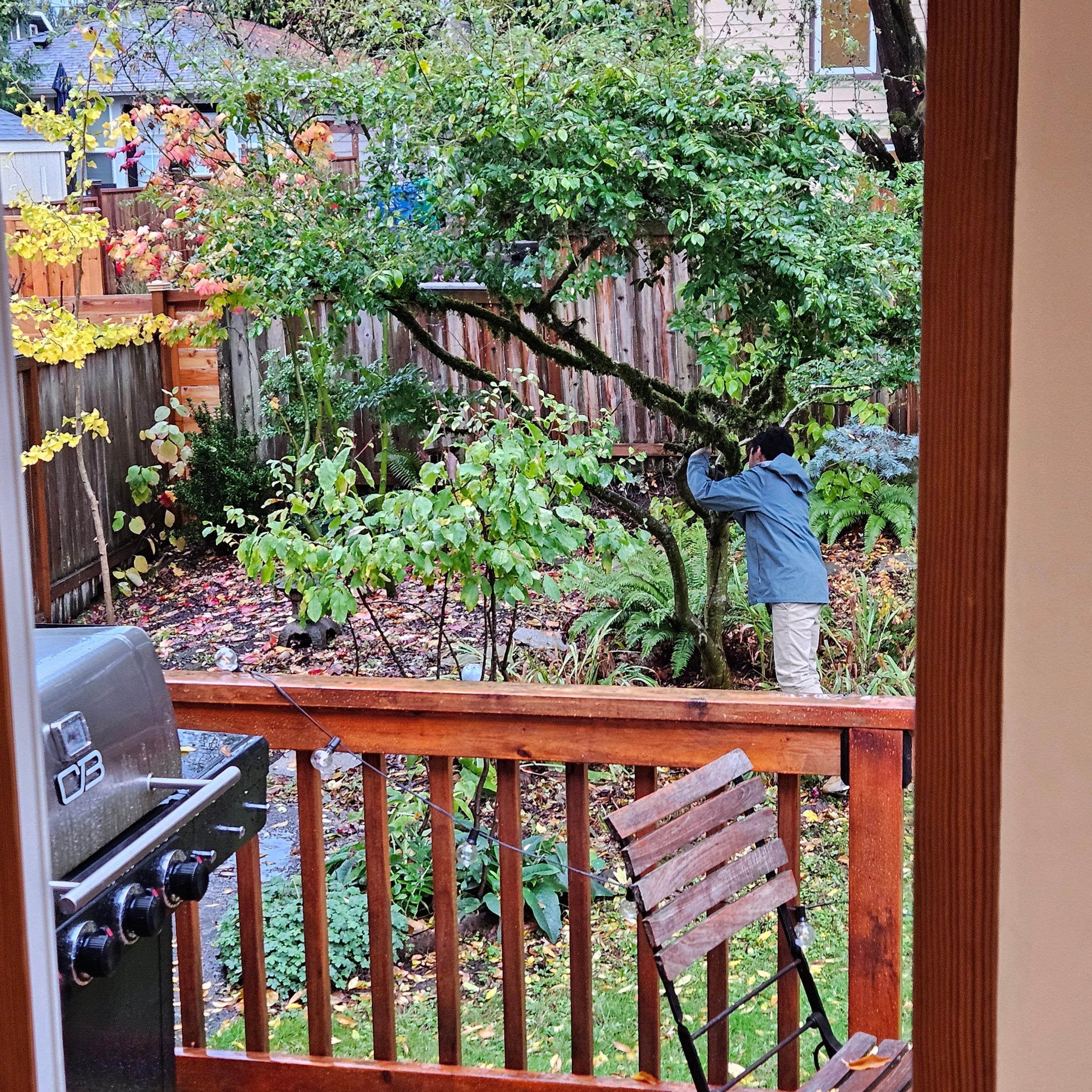 View of the Back Patio and Yard