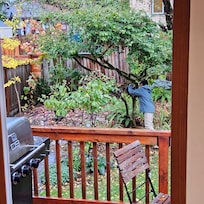 View of the Back Patio and Yard