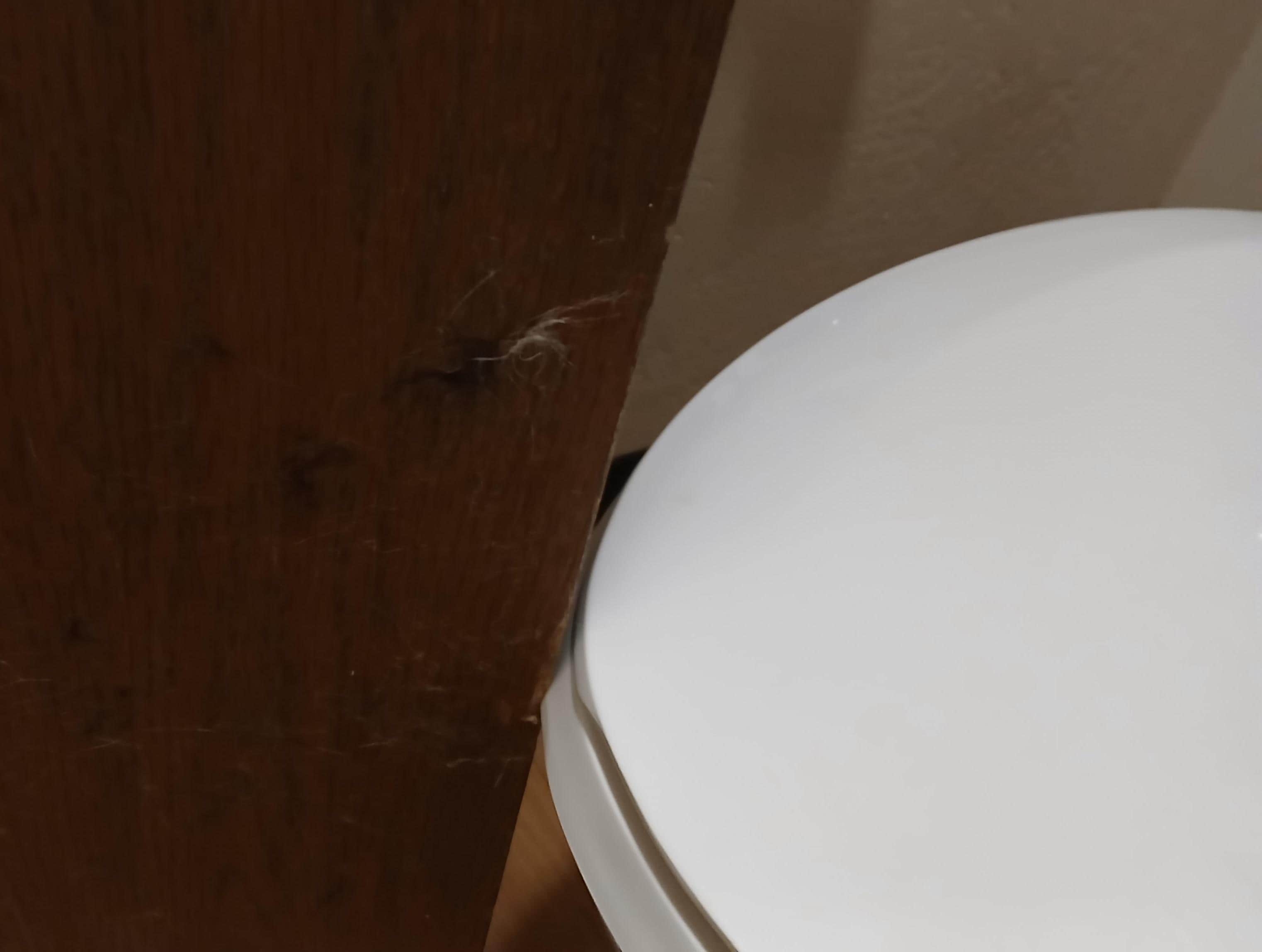 Door doesn't clear the toilet, you have to force it open.