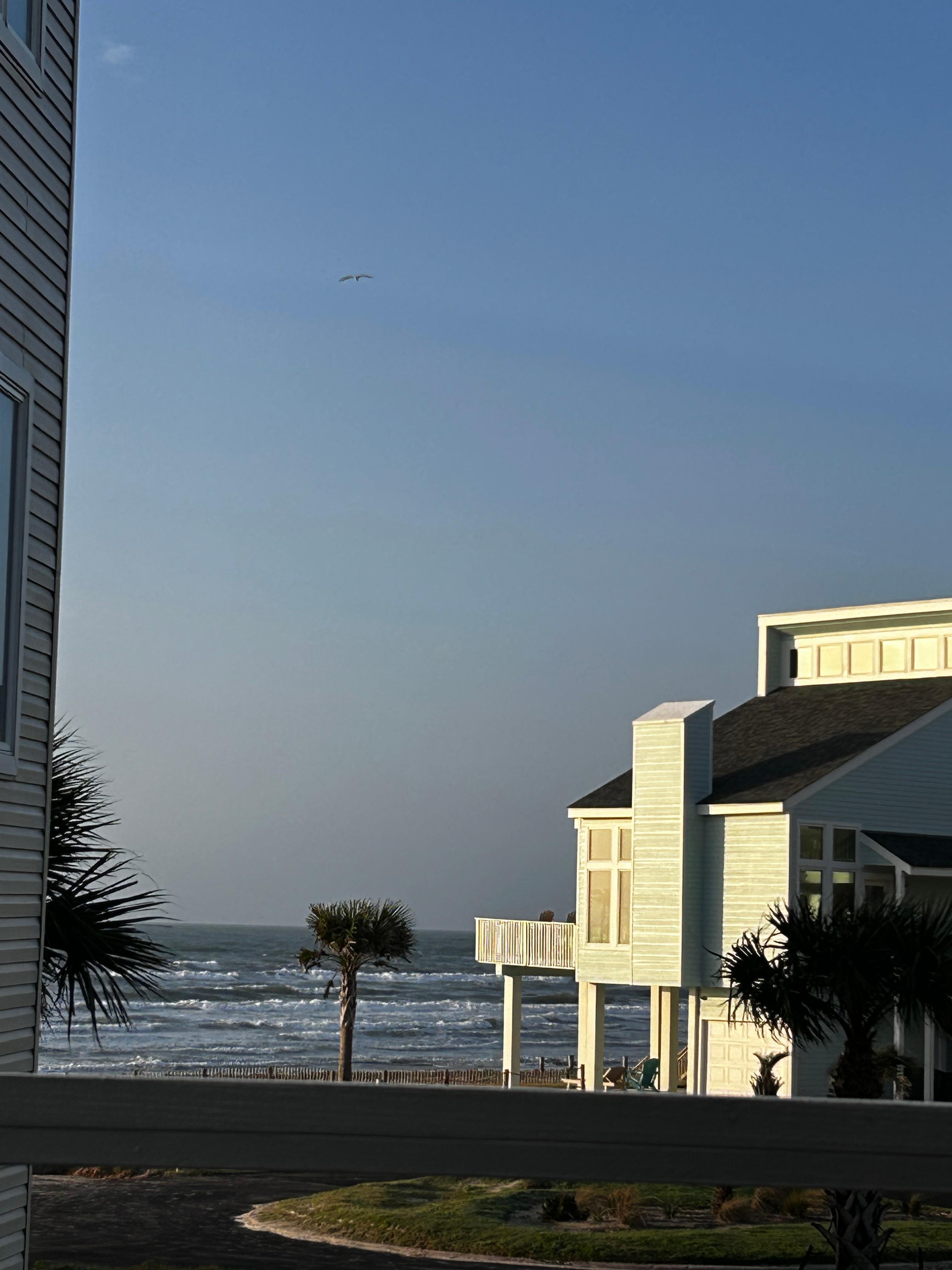 Beach view from the house .