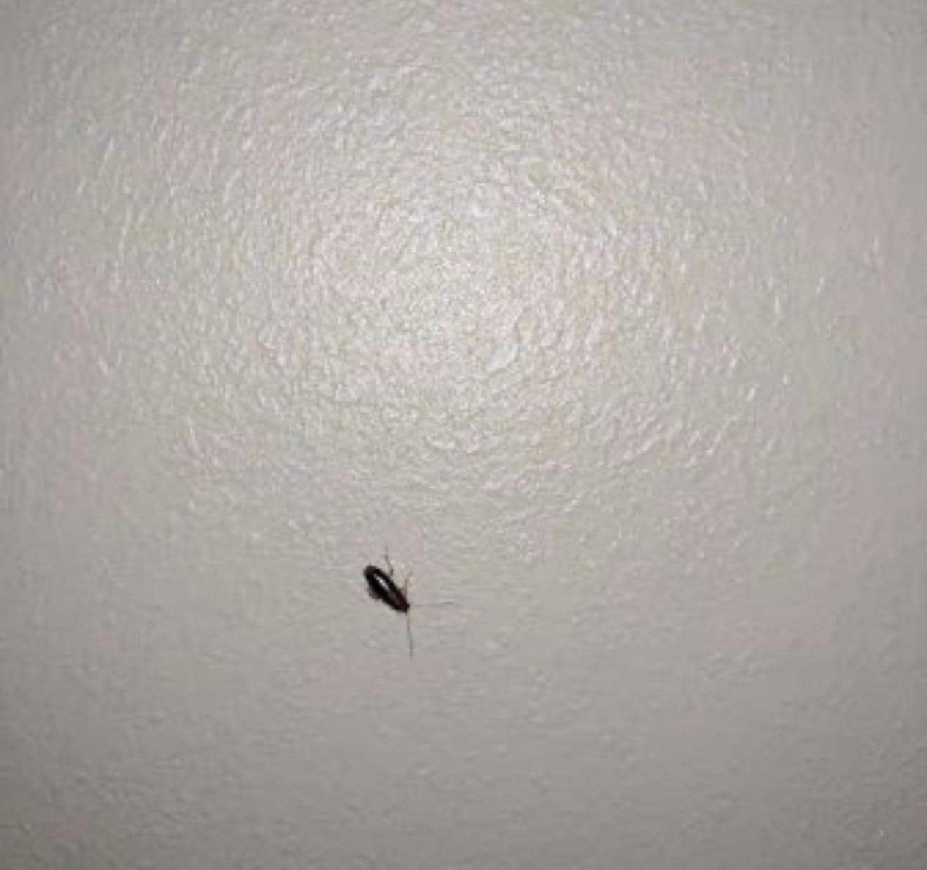 On the wall near the Ac