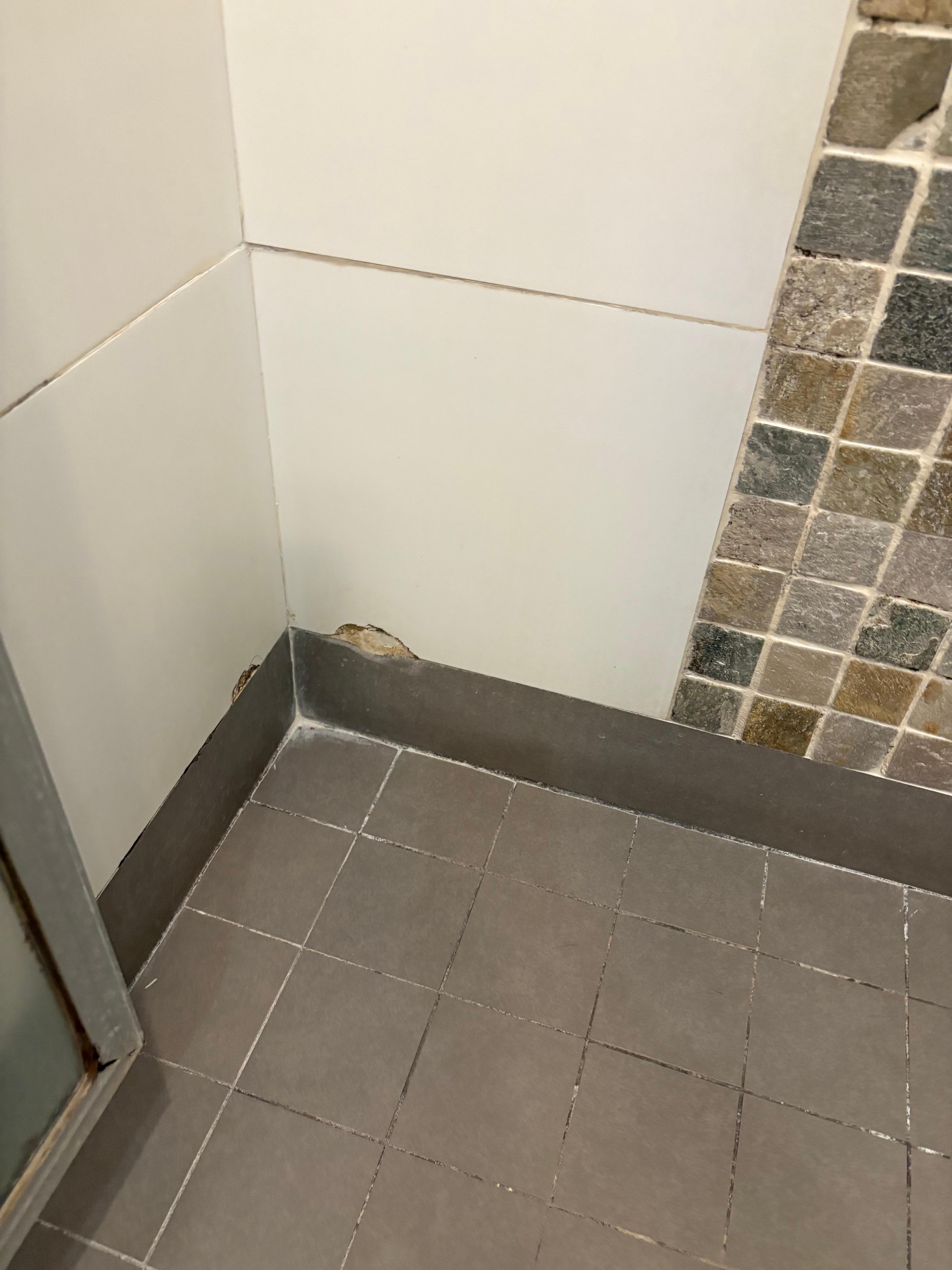 Sorry diary barhroom