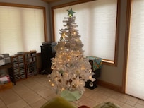 A beautiful Christmas tree.