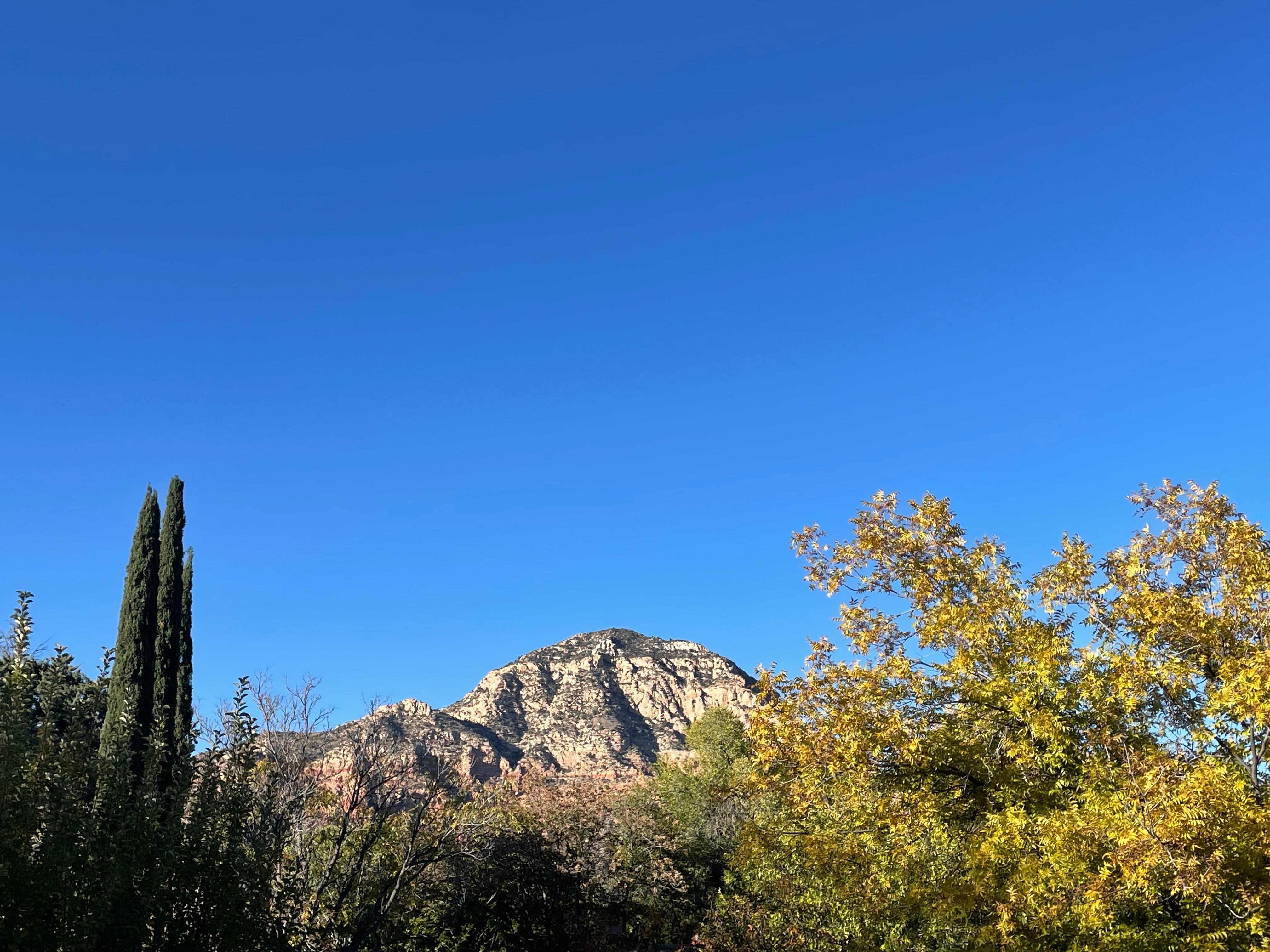  View from the porch on the roof.