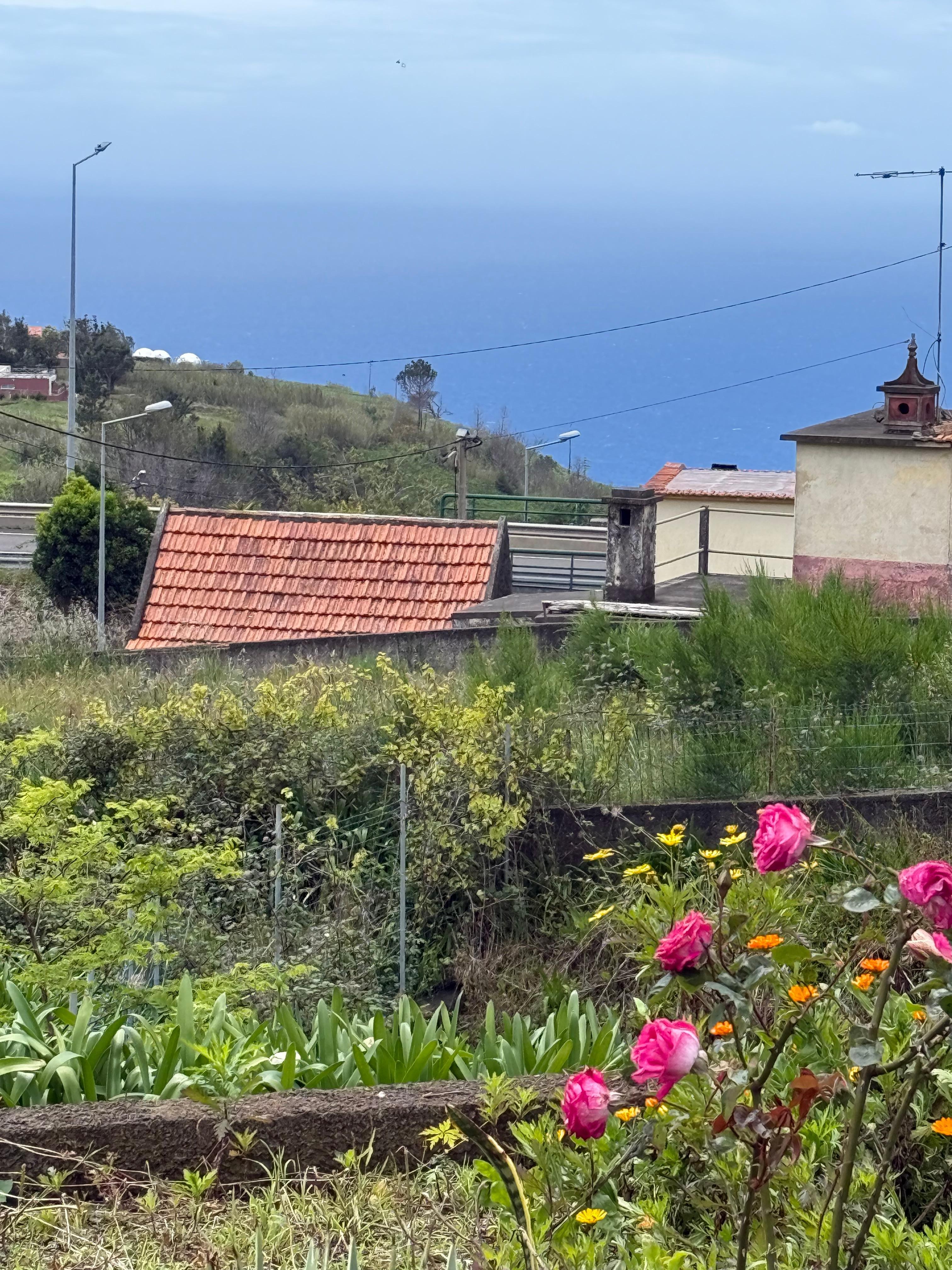 Another view from the home