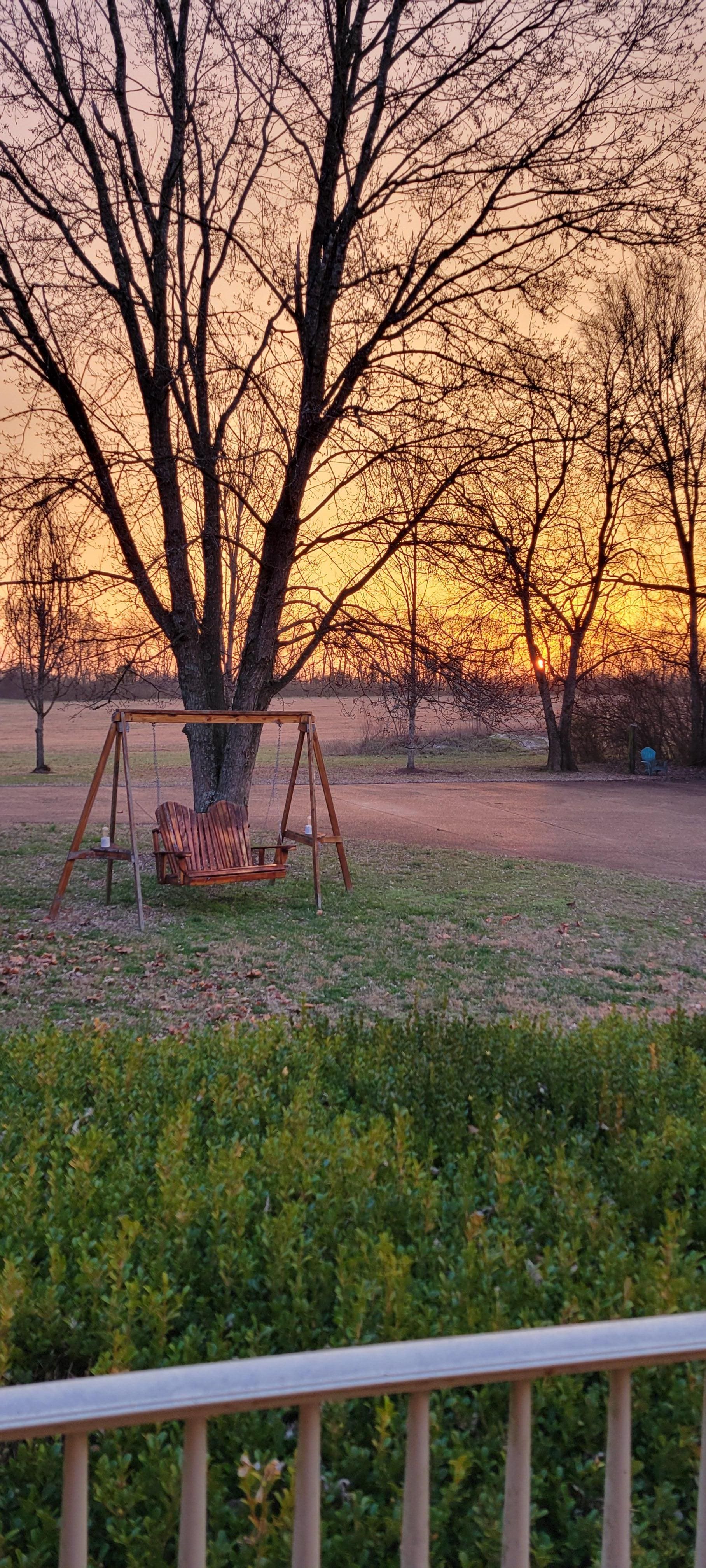 Beautiful sunrise each morning from the kitchen French doors. 