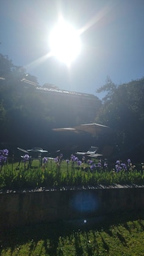 The beautiful yard space