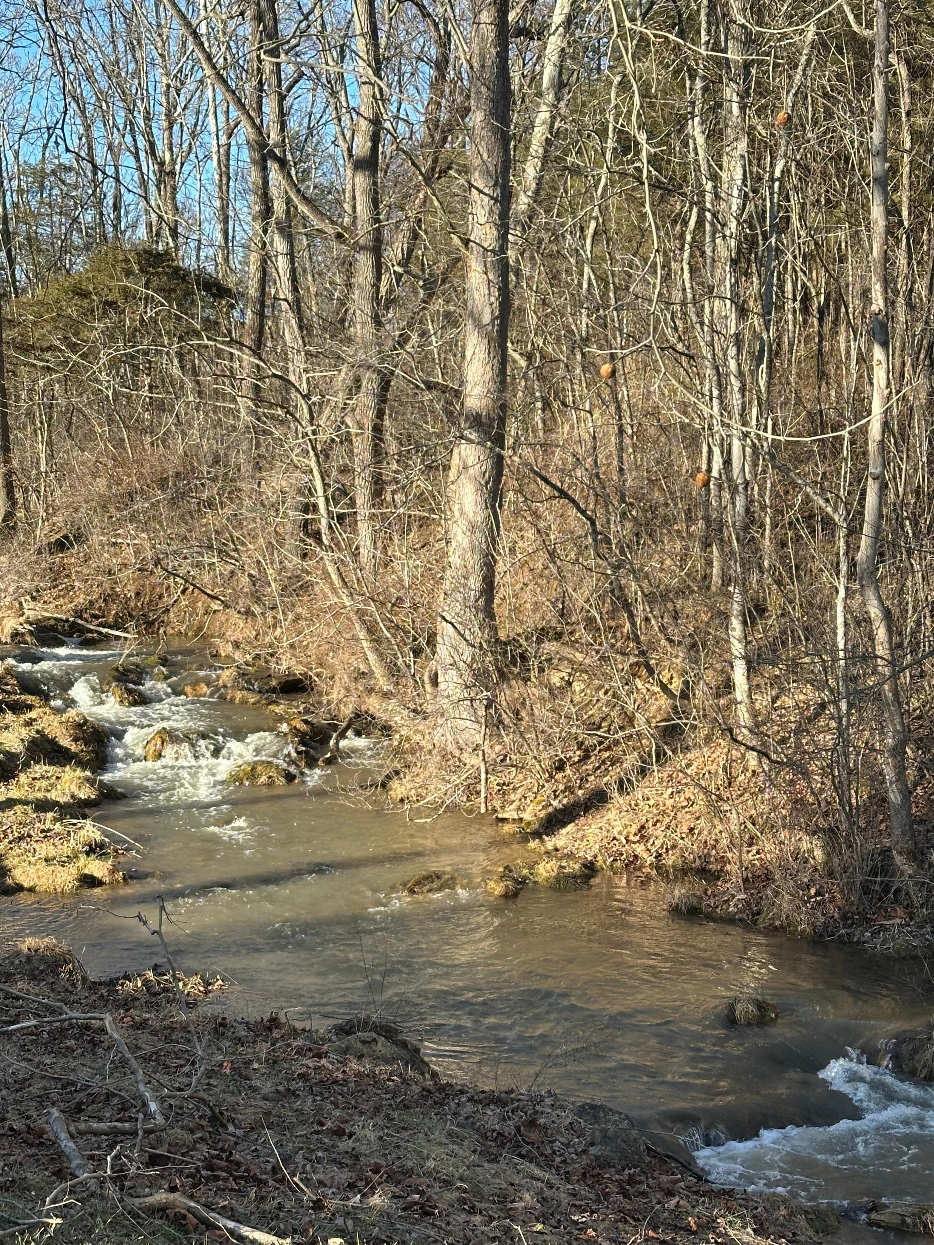 Stones throw from back porch. Relax to the sound of a babbling brook. 