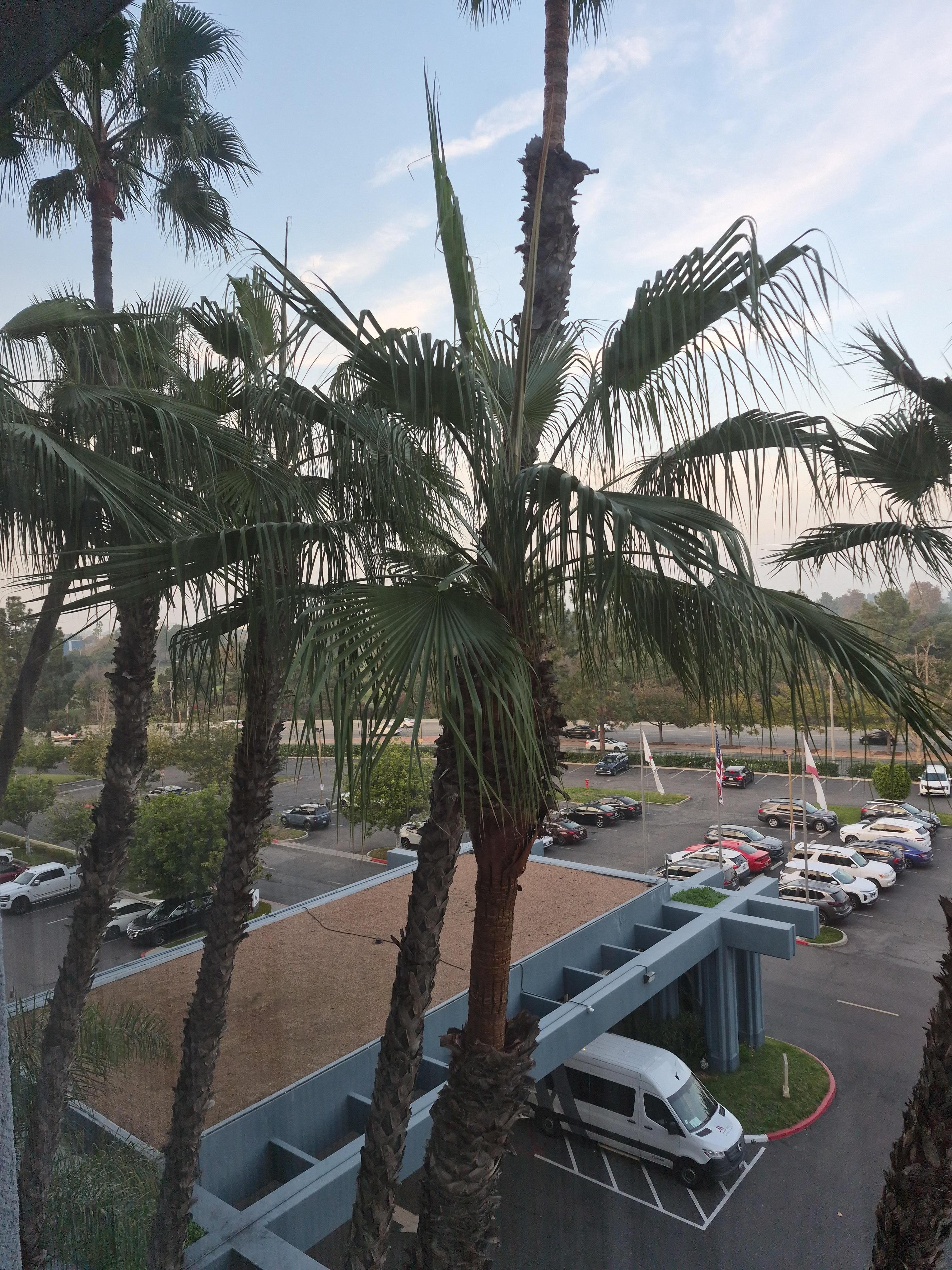 View from 5th floor room