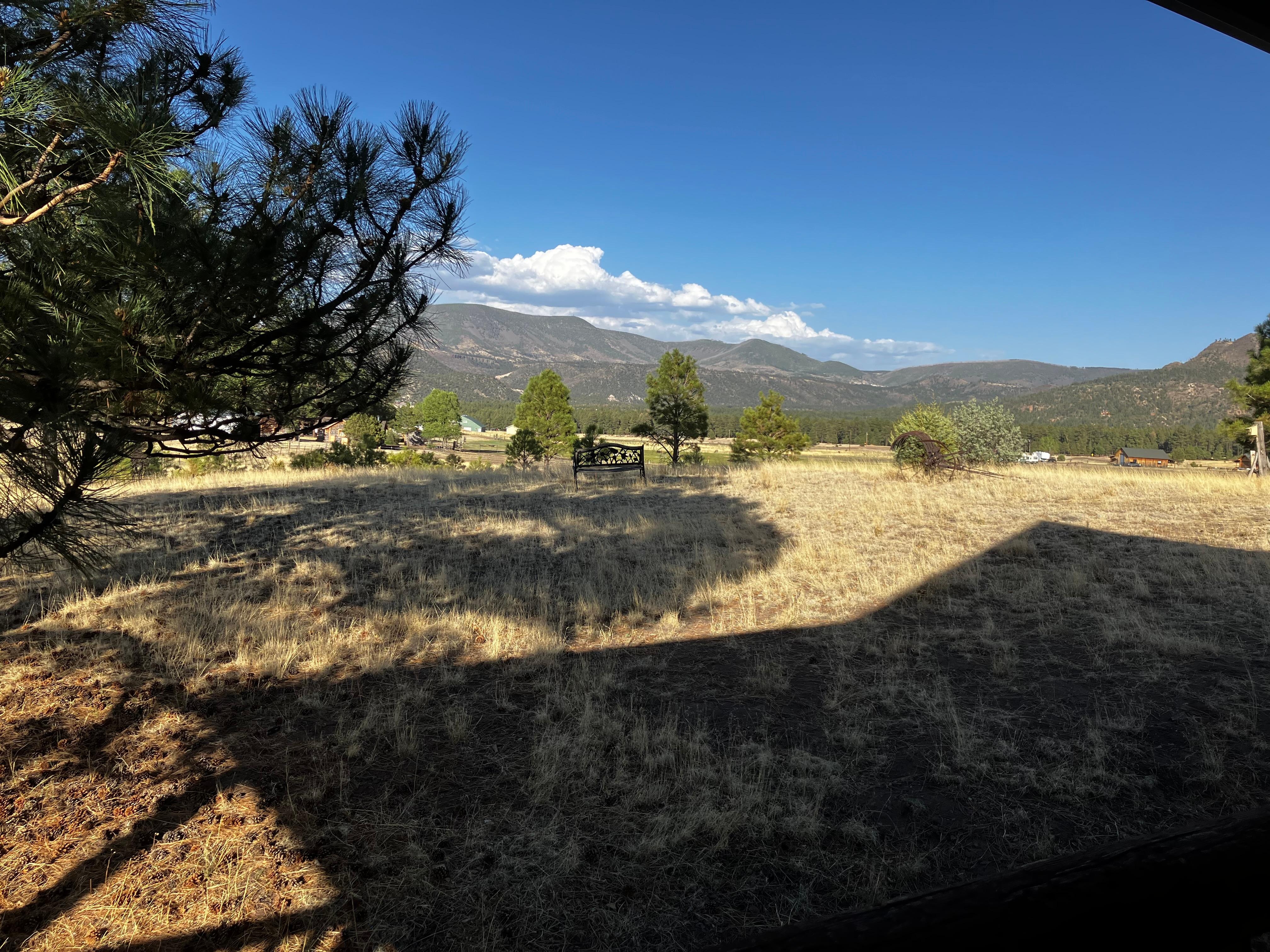 View from back patio 2