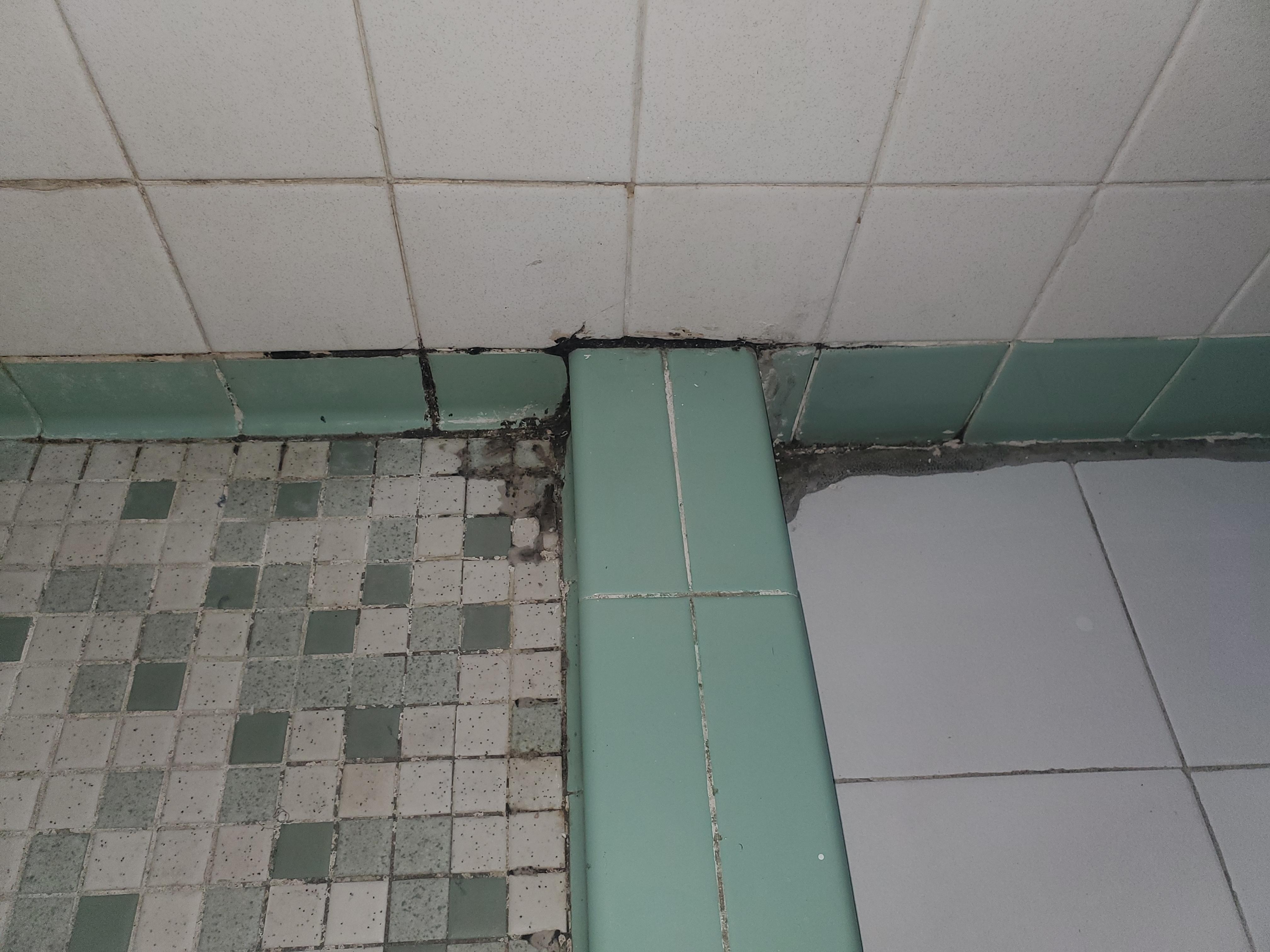 Shower, bathroon floor