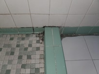 Shower, bathroon floor