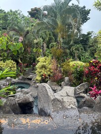 Hot springs