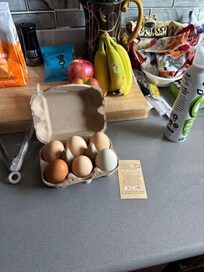 Fresh eggs