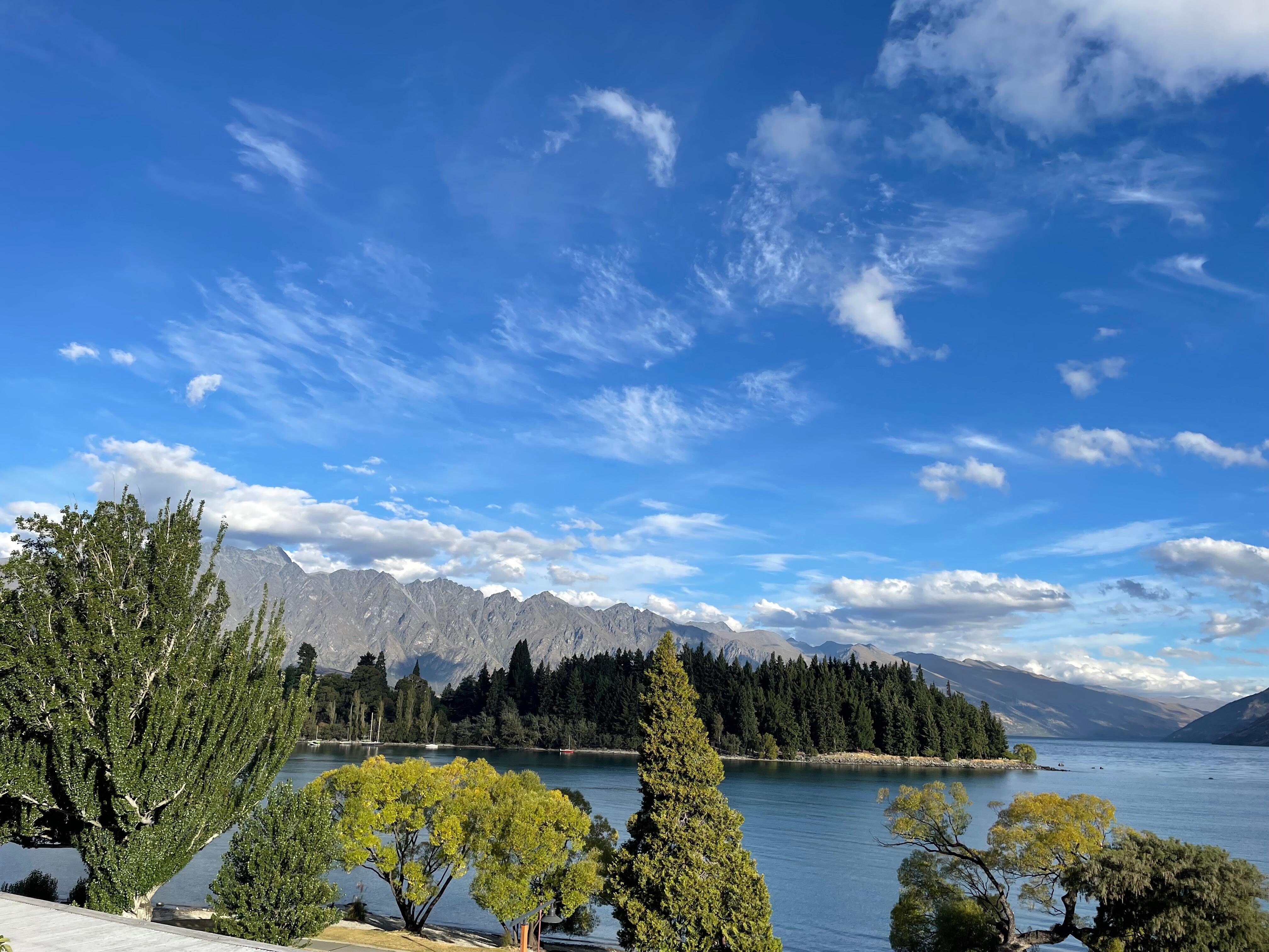 A view from the patio