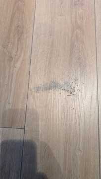 Dust we had to sweep up ourselves