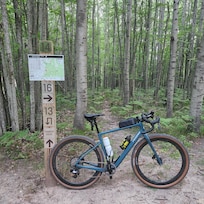 Vasa trails