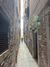 The street in front of the building entrance.