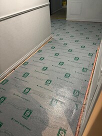 Our hallway- no one acknowledged they were doing construction