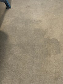 There was water all over the carpet.