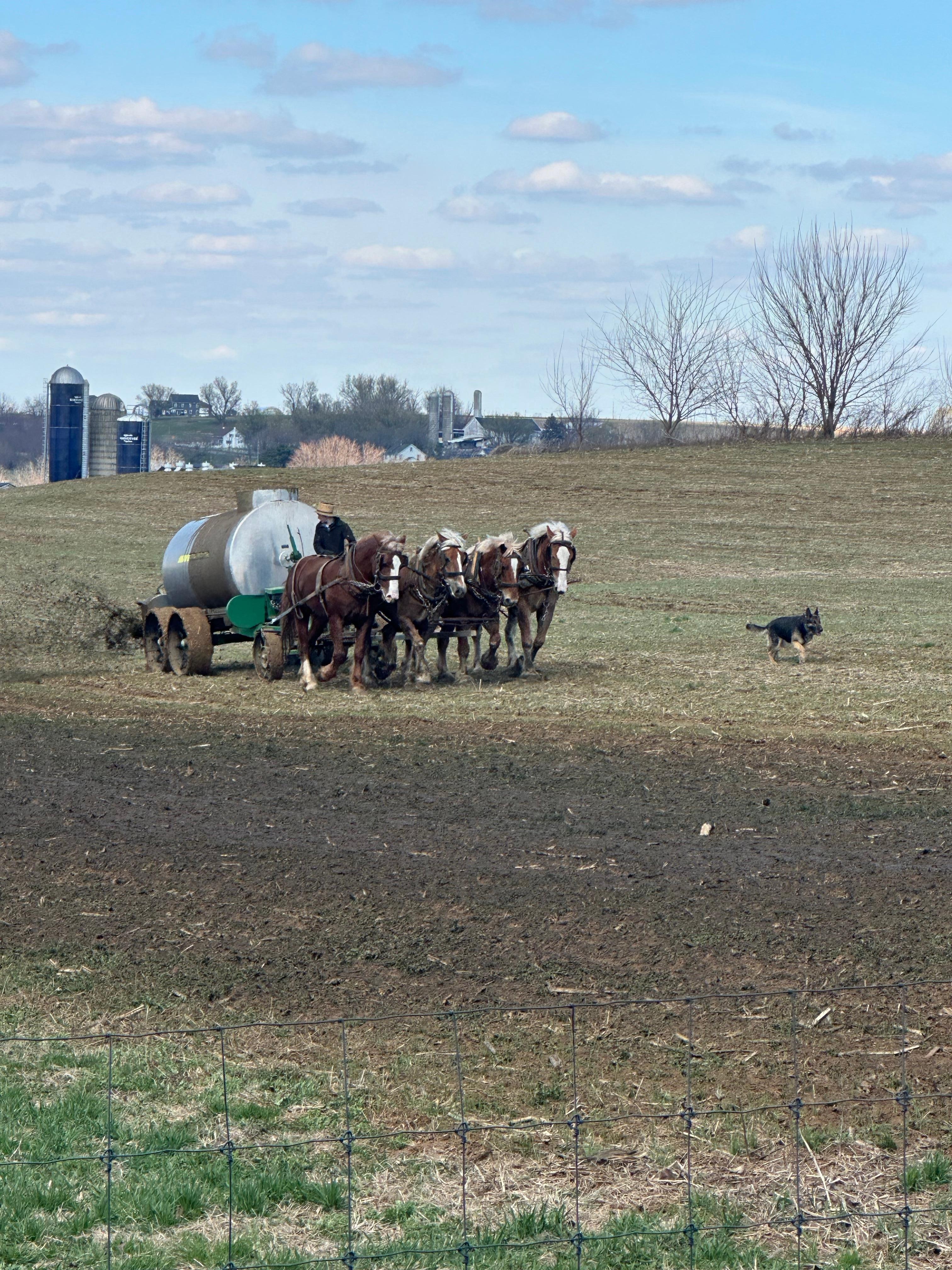 Farm outside the room