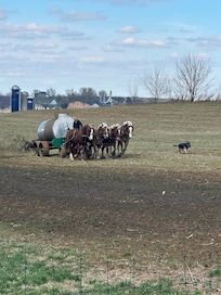 Farm outside the room