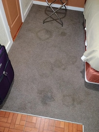Carpet needs deep cleaning