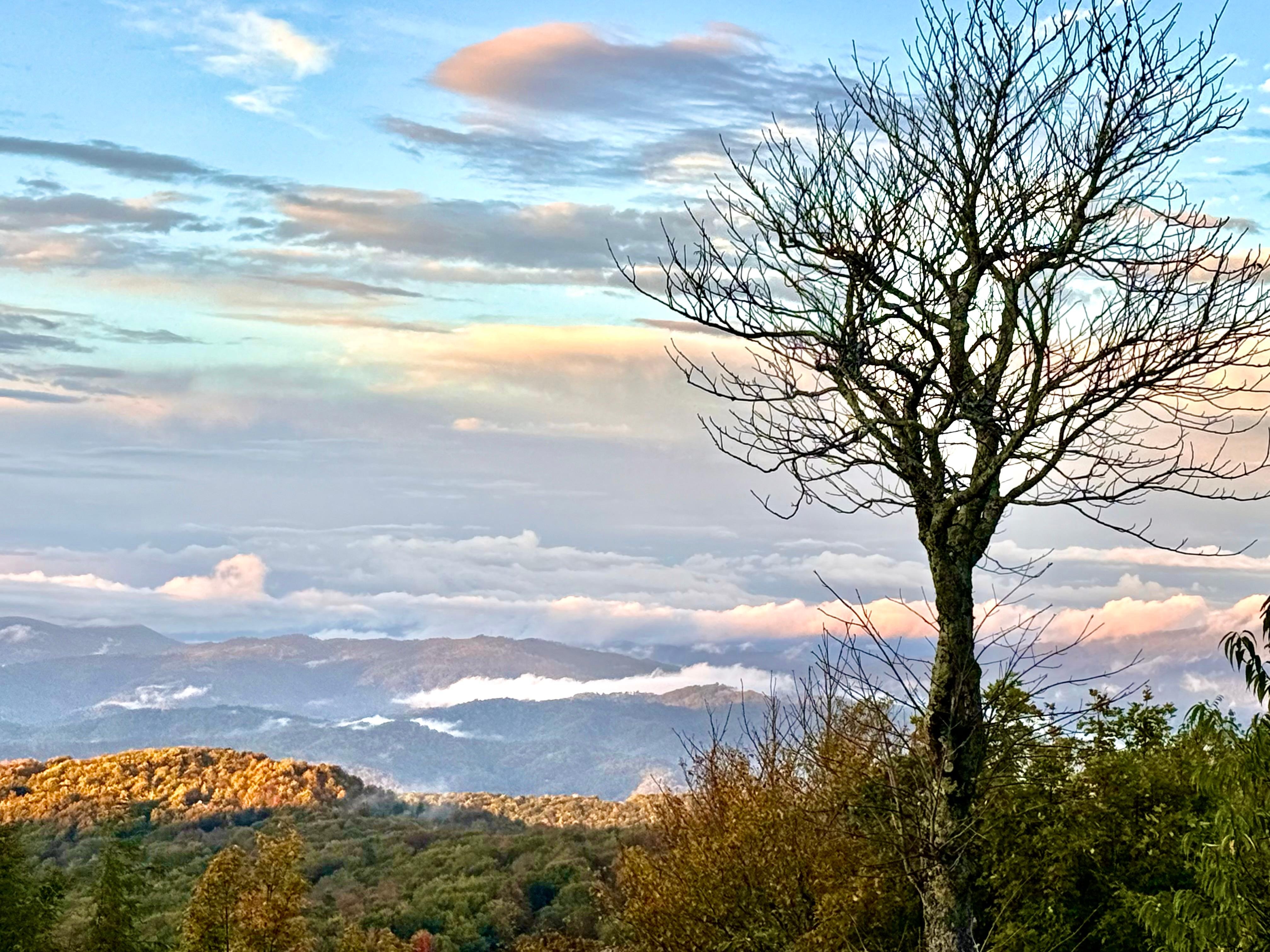 This is a view from just up the road from the cabin 