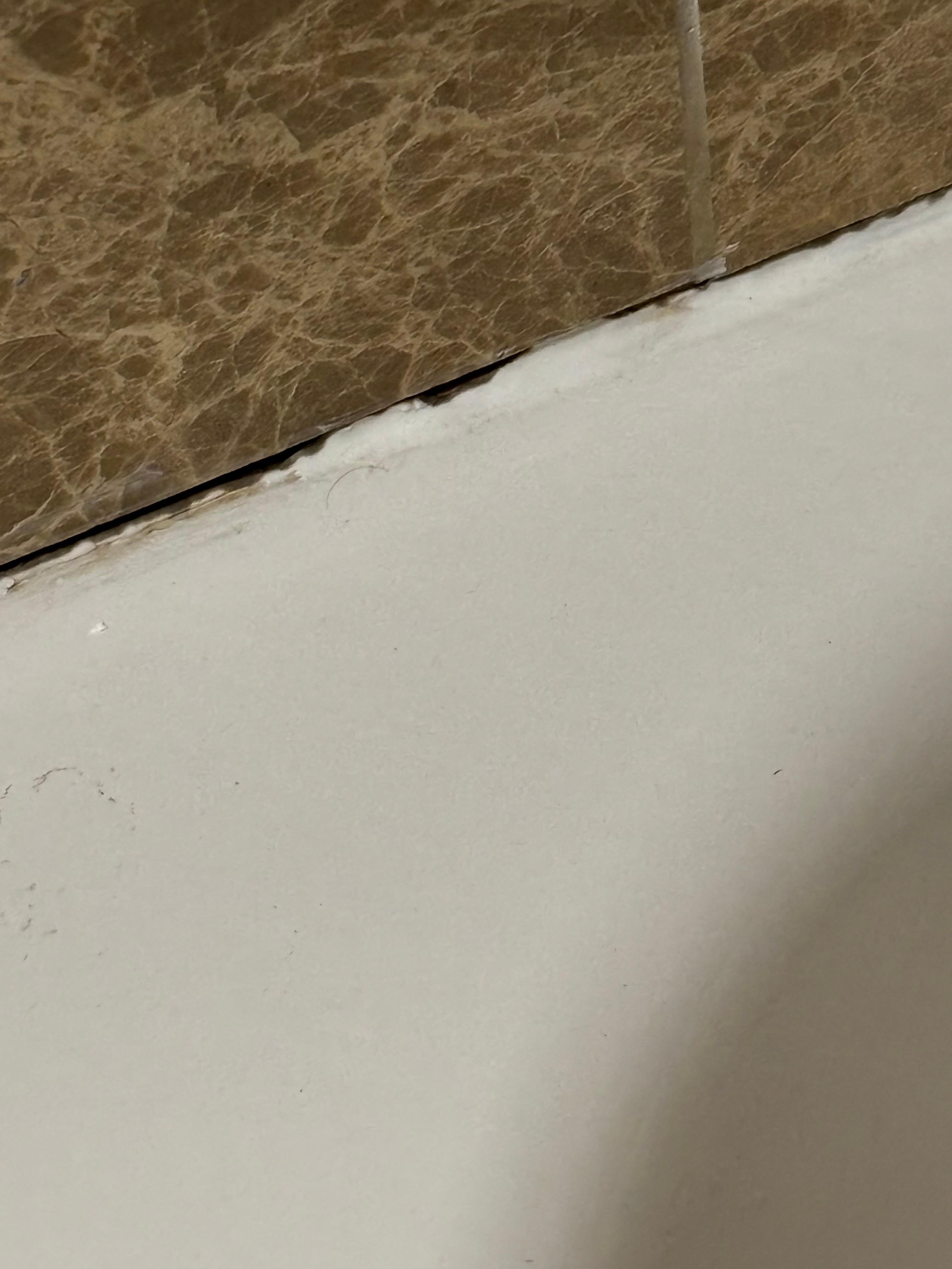 Mold in tub