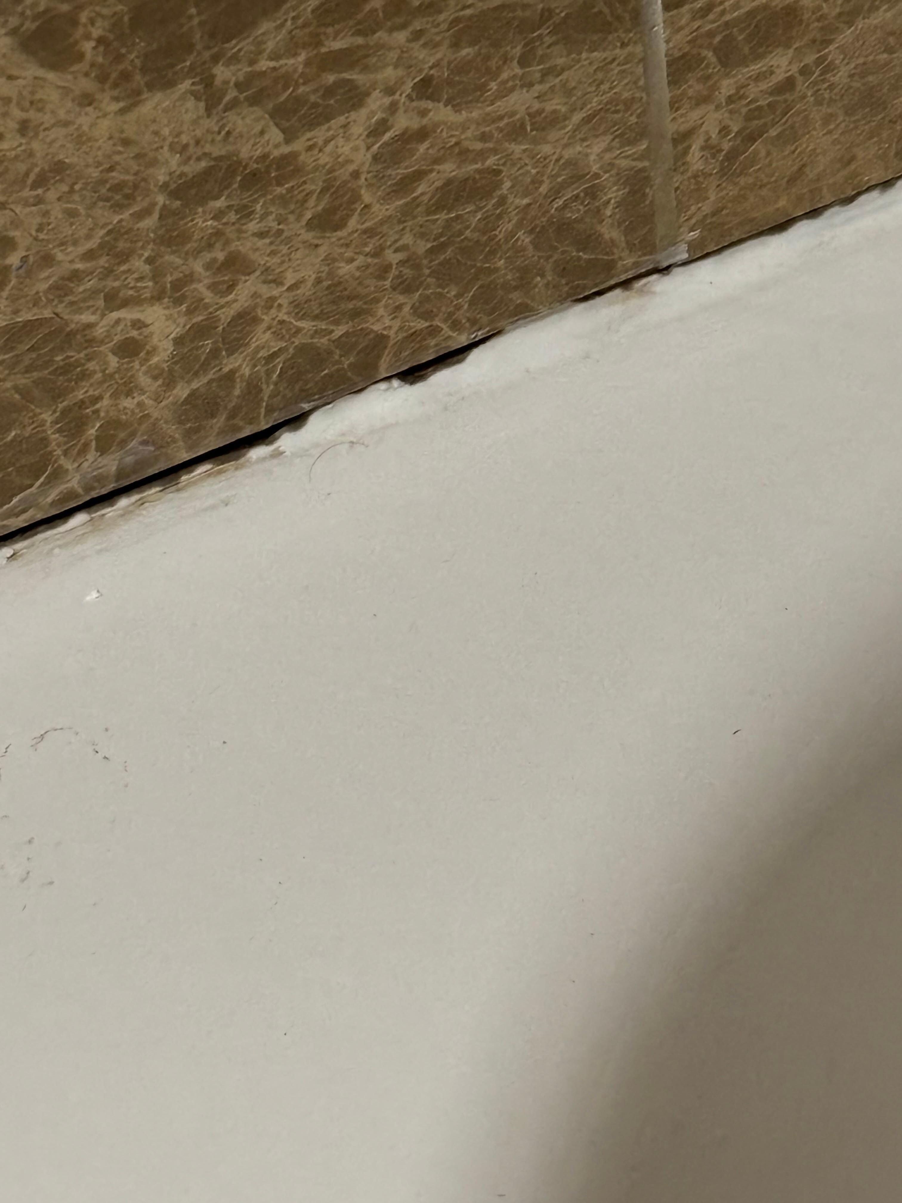Mold in tub