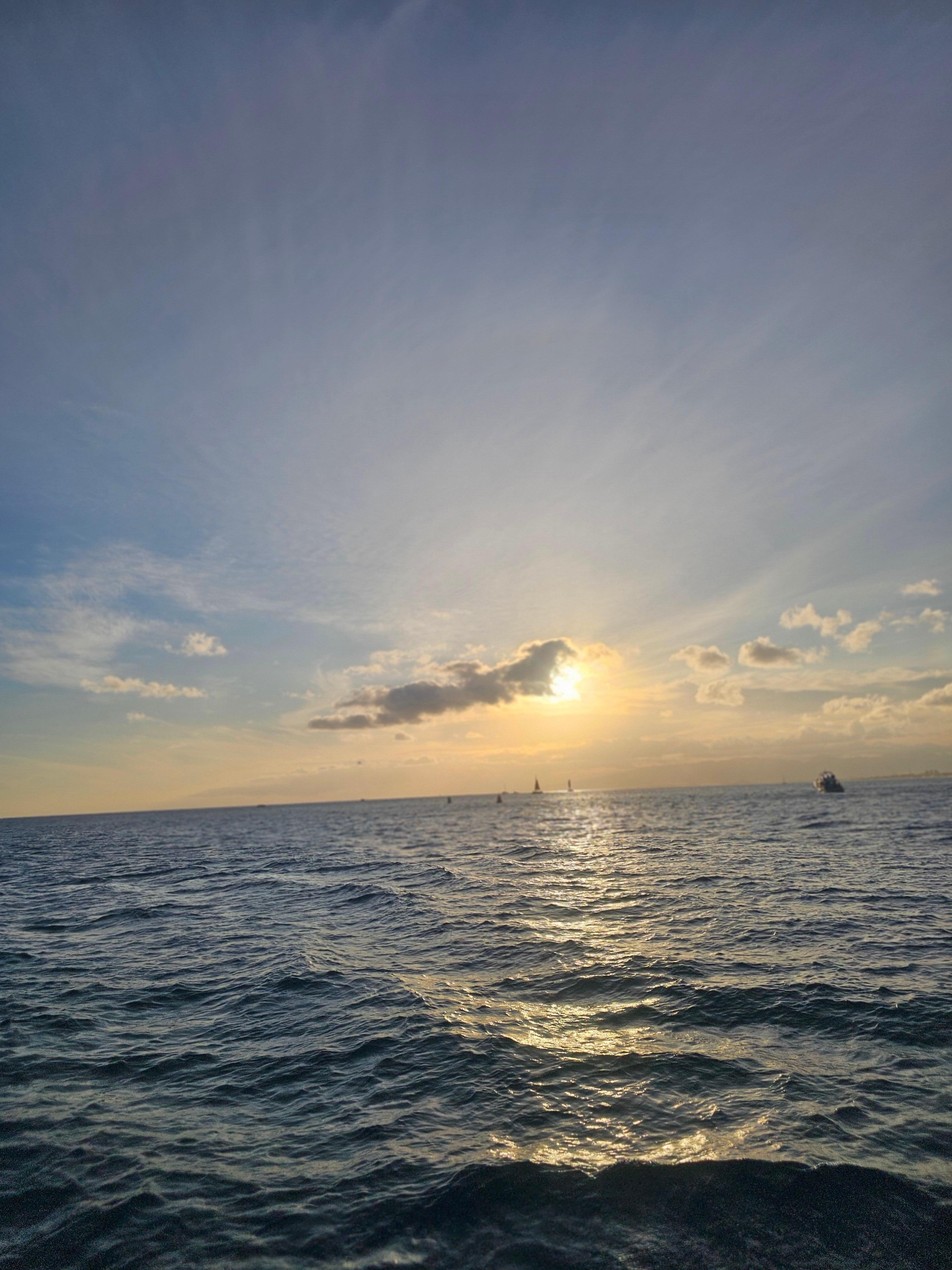 Living ocean sunset cruise