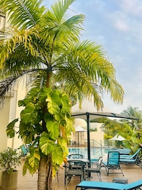 Pool area