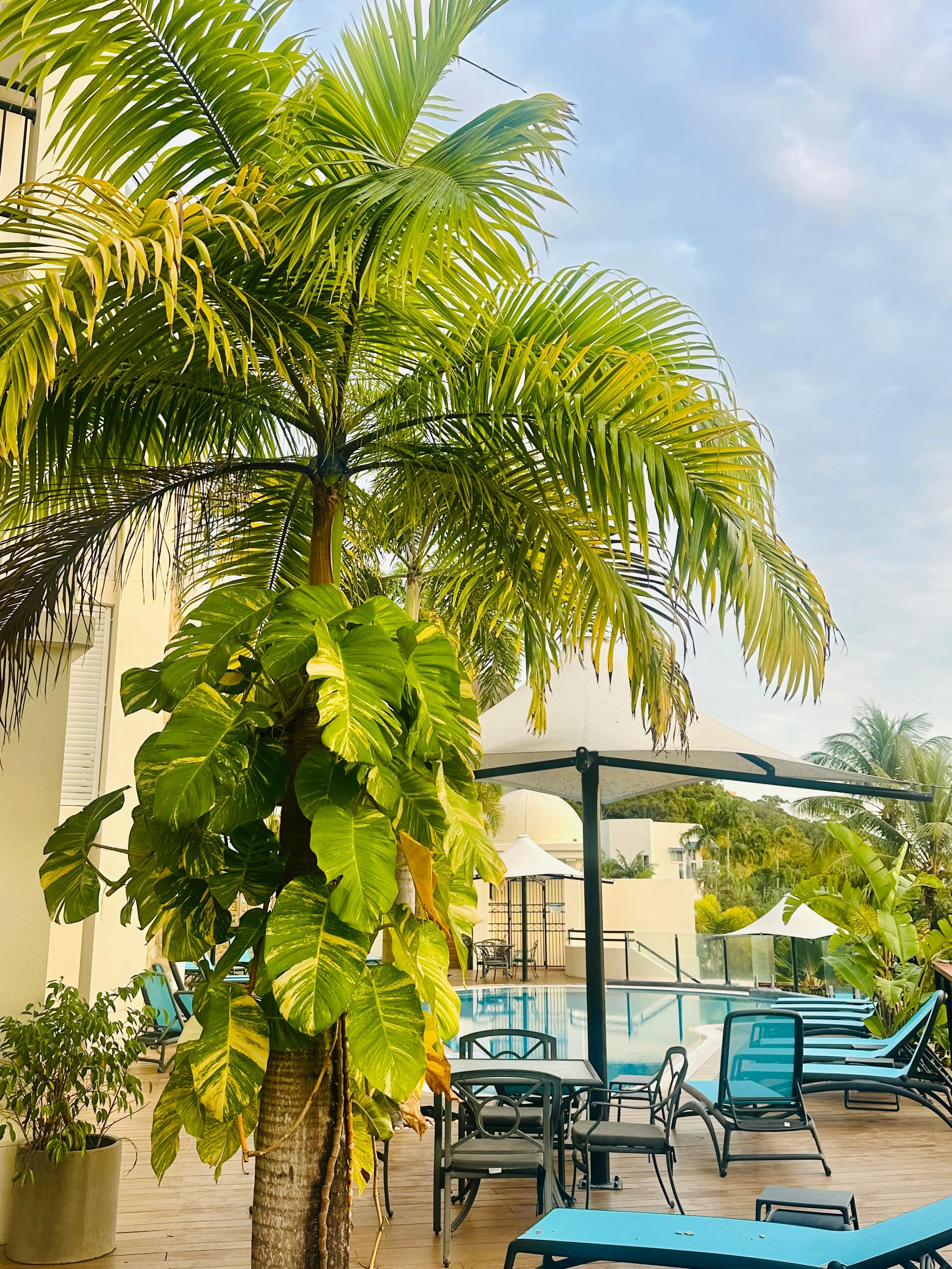 Pool area