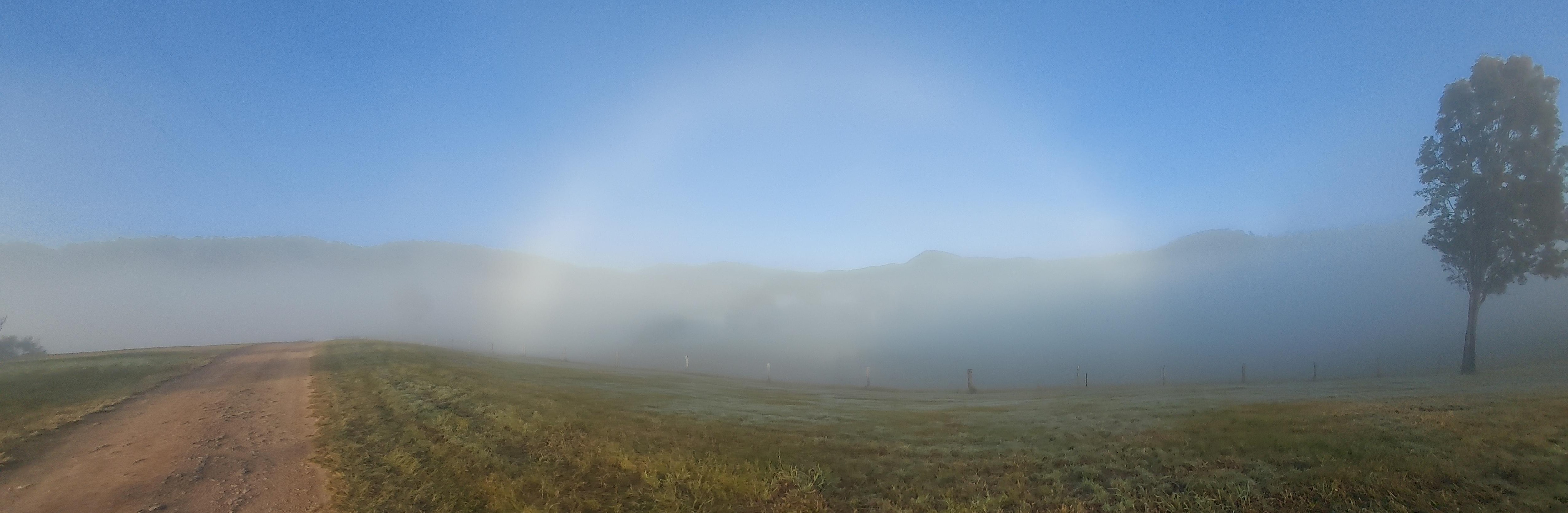Ths Duns ora in the mist