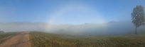 Ths Duns ora in the mist