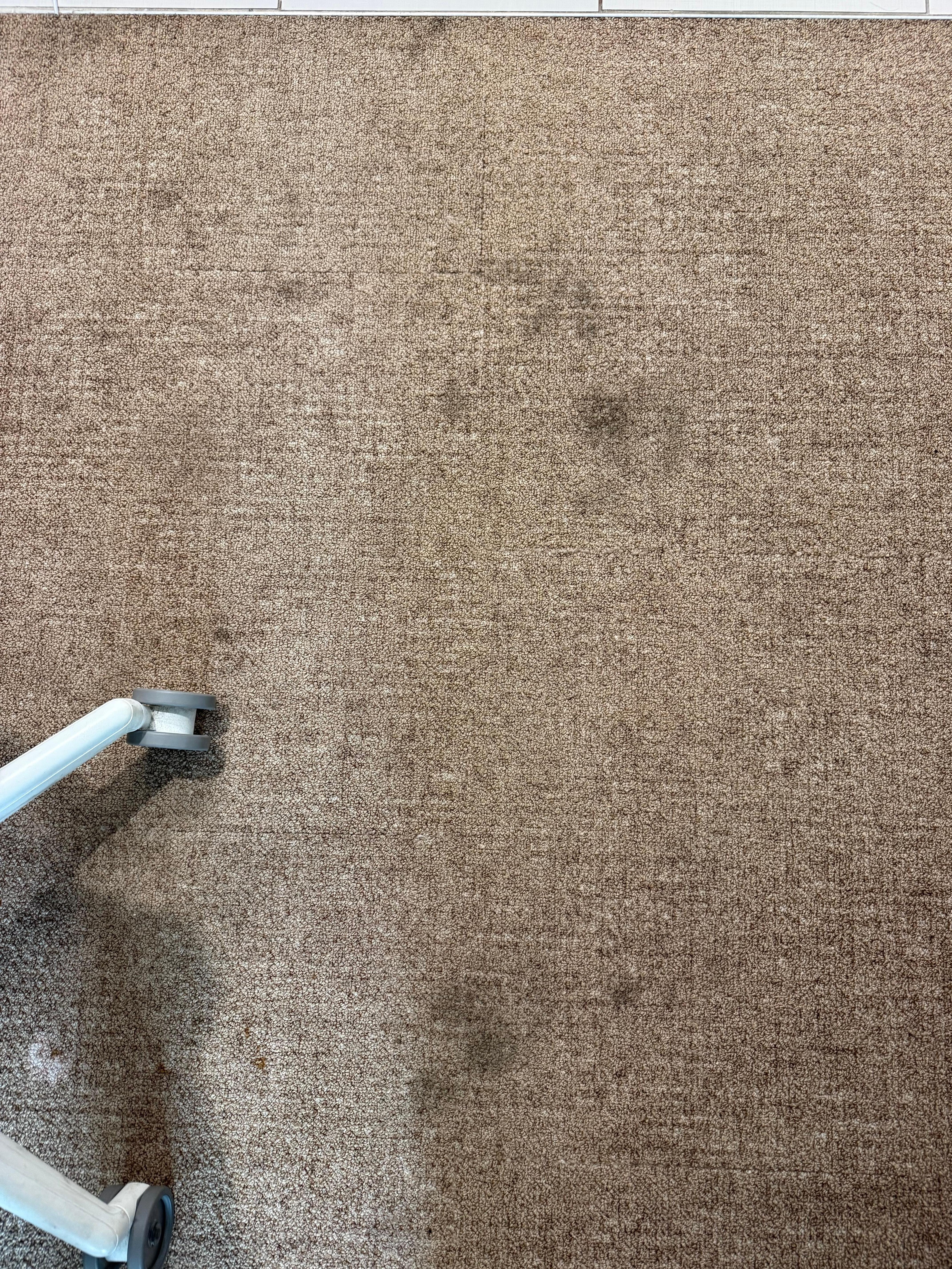 Stains on carpet 