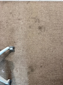 Stains on carpet