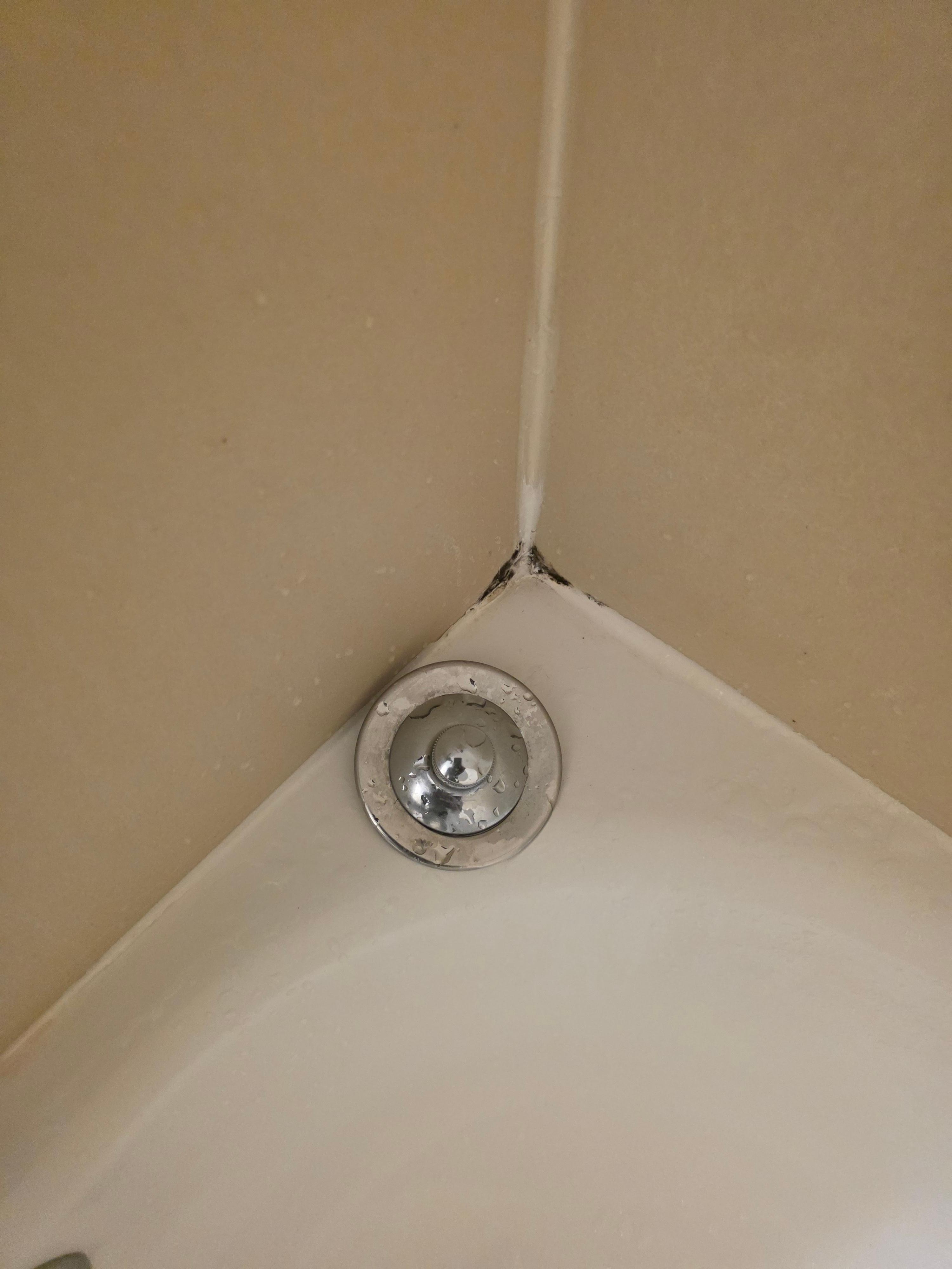 Mold in the restroom