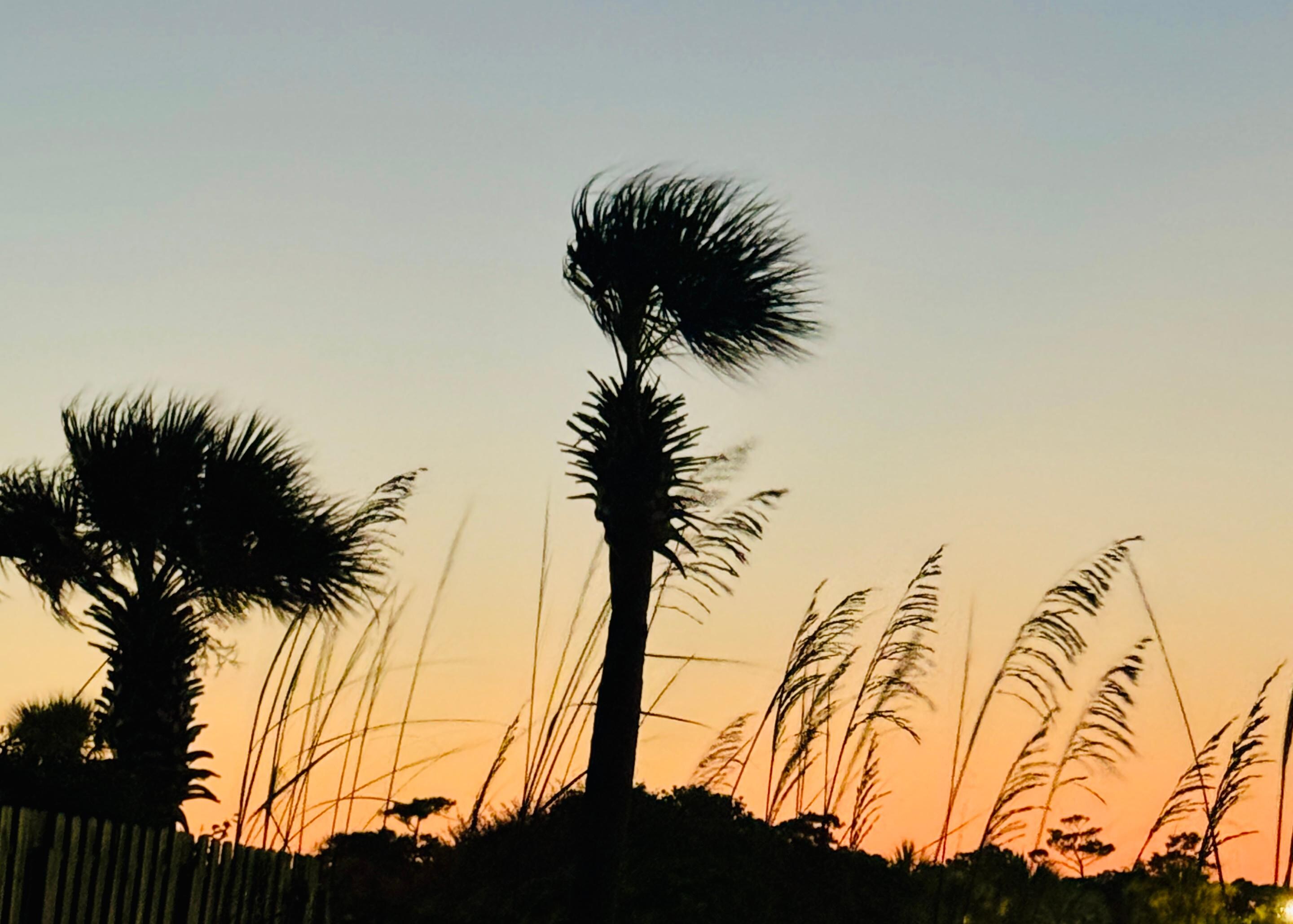 Beachy sunsets