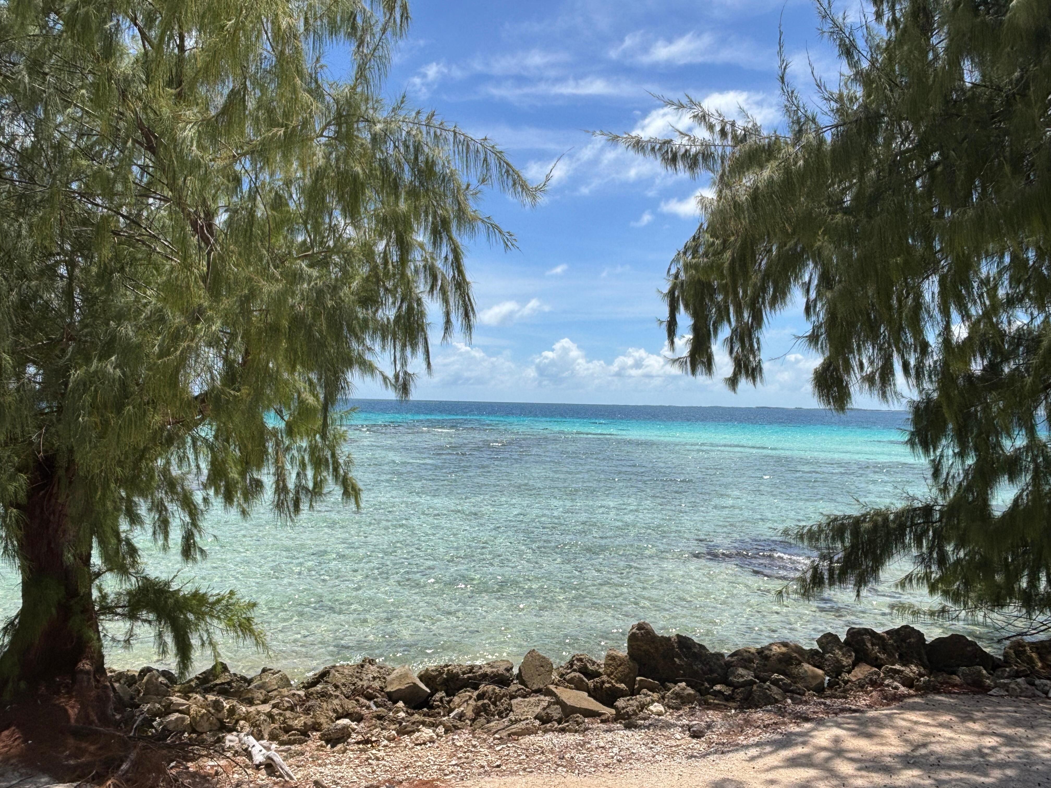 Vue depuis la fenêtre de notre chambre bleue 🤩