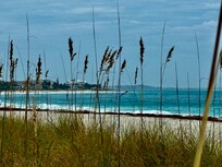 The beach