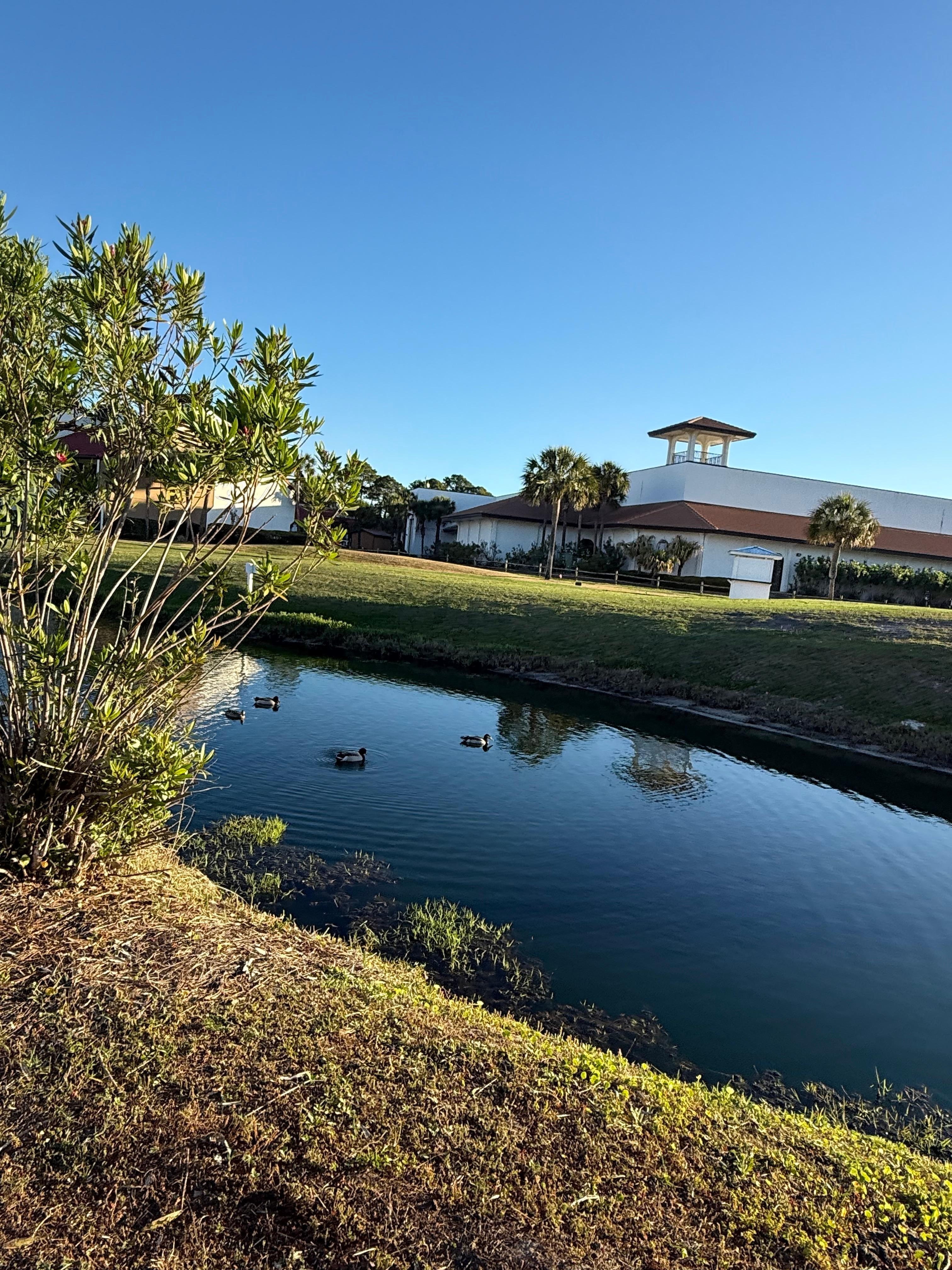 Morning walk back from the beach 